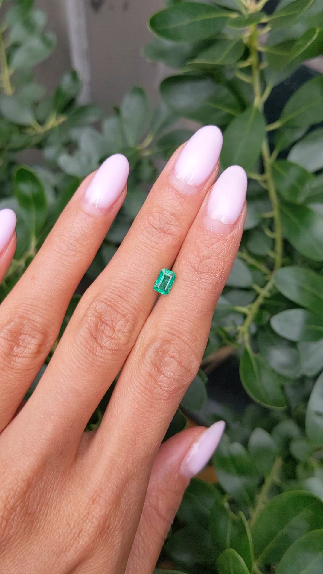 0.73 Ct. Emerald from Zambia Size Video