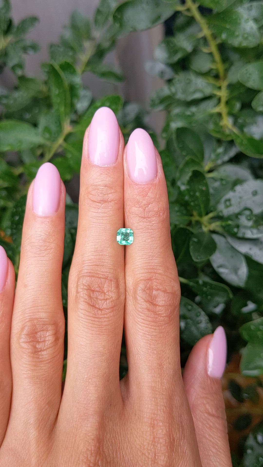 0.47 Ct. Emerald from Zambia Size Video