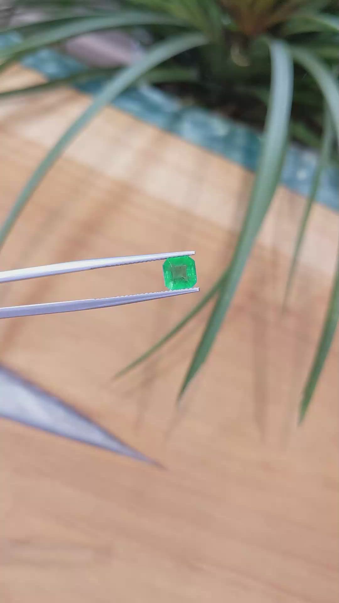 0.78 Ct. Emerald from Brazil Size Video