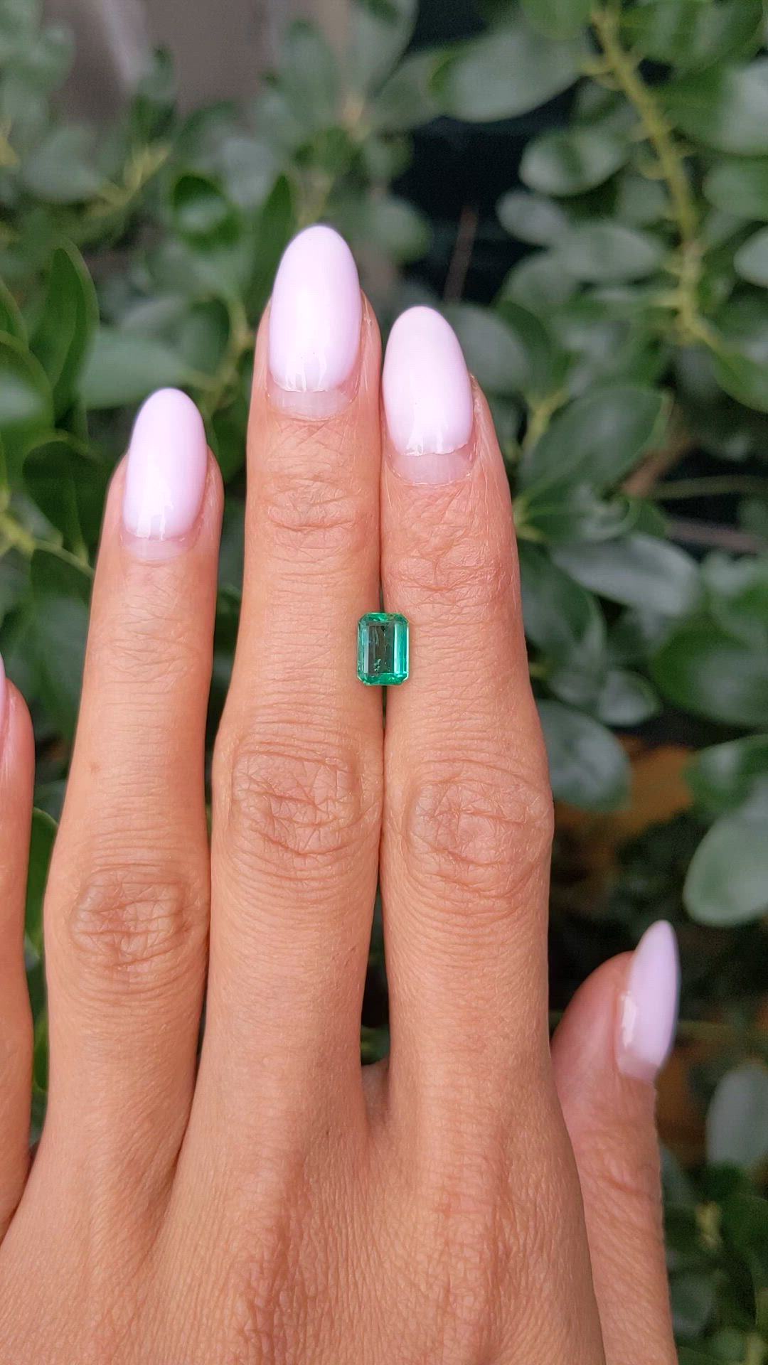 0.91 Ct. Emerald from Zambia Size Video