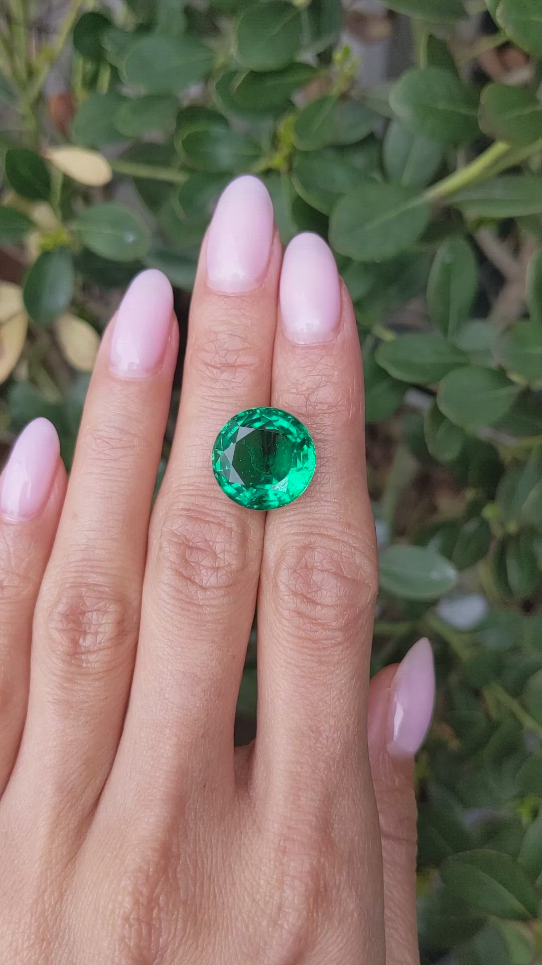 10.64 Ct. Emerald from Zambia Size Video