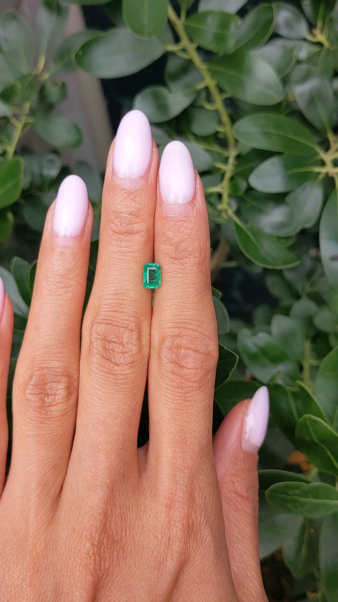 0.80 Ct. Emerald from Zambia Size Video