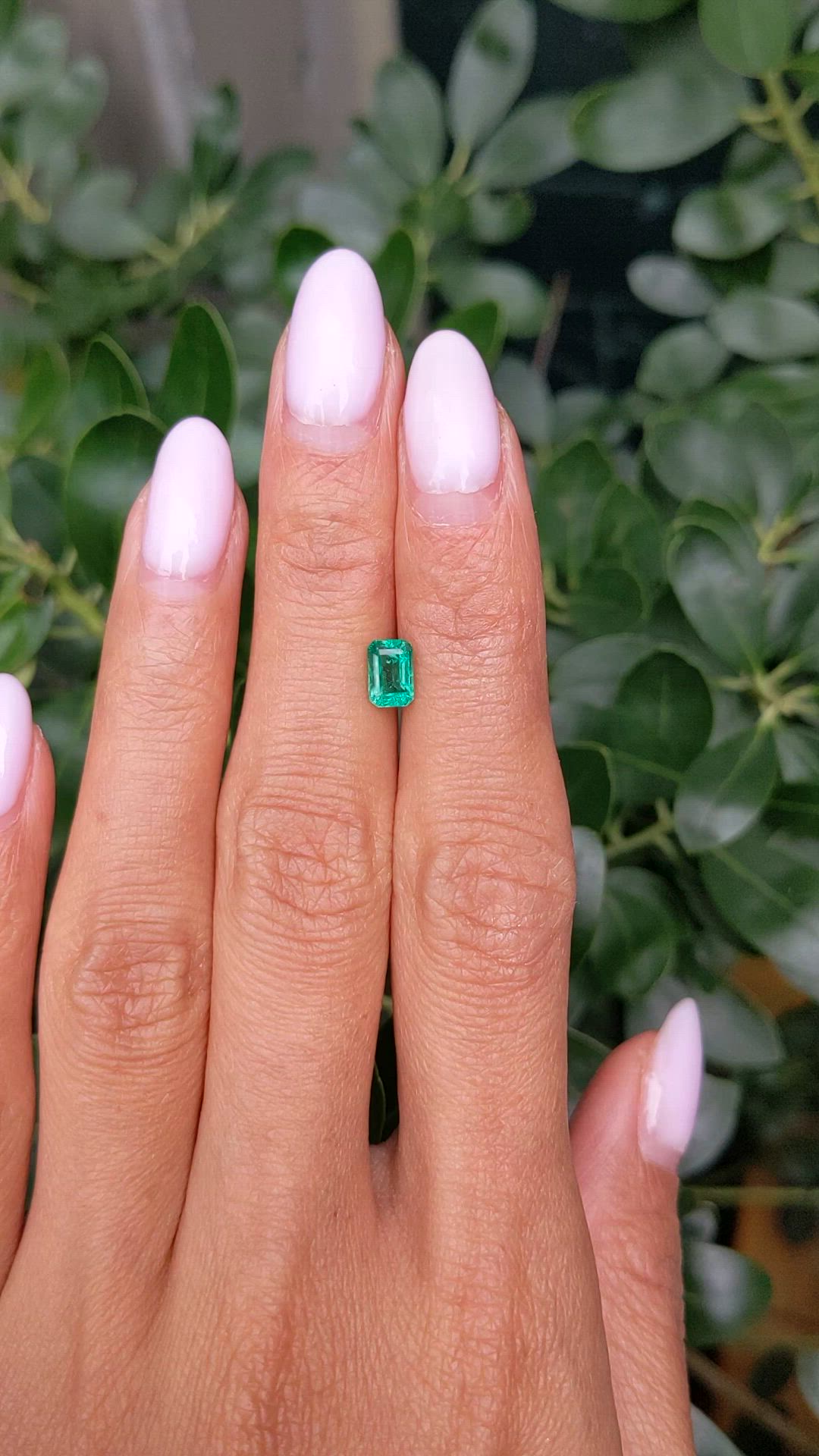 0.77 Ct. Emerald from Zambia Size Video