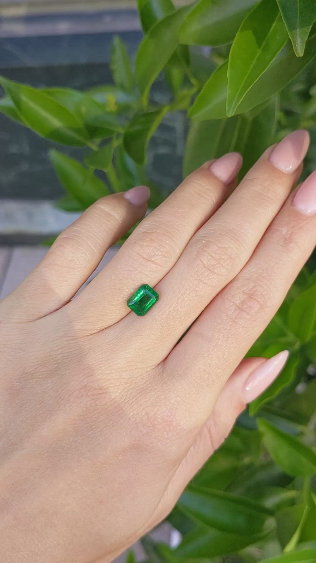 1.67 Ct. Emerald from Zambia Size Video