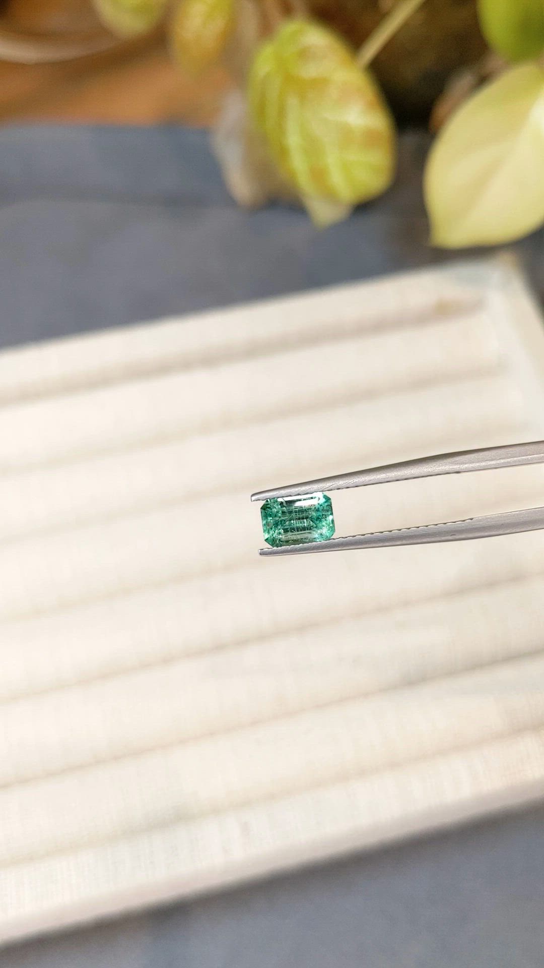 0.81 Ct. Emerald from Russia Size Video