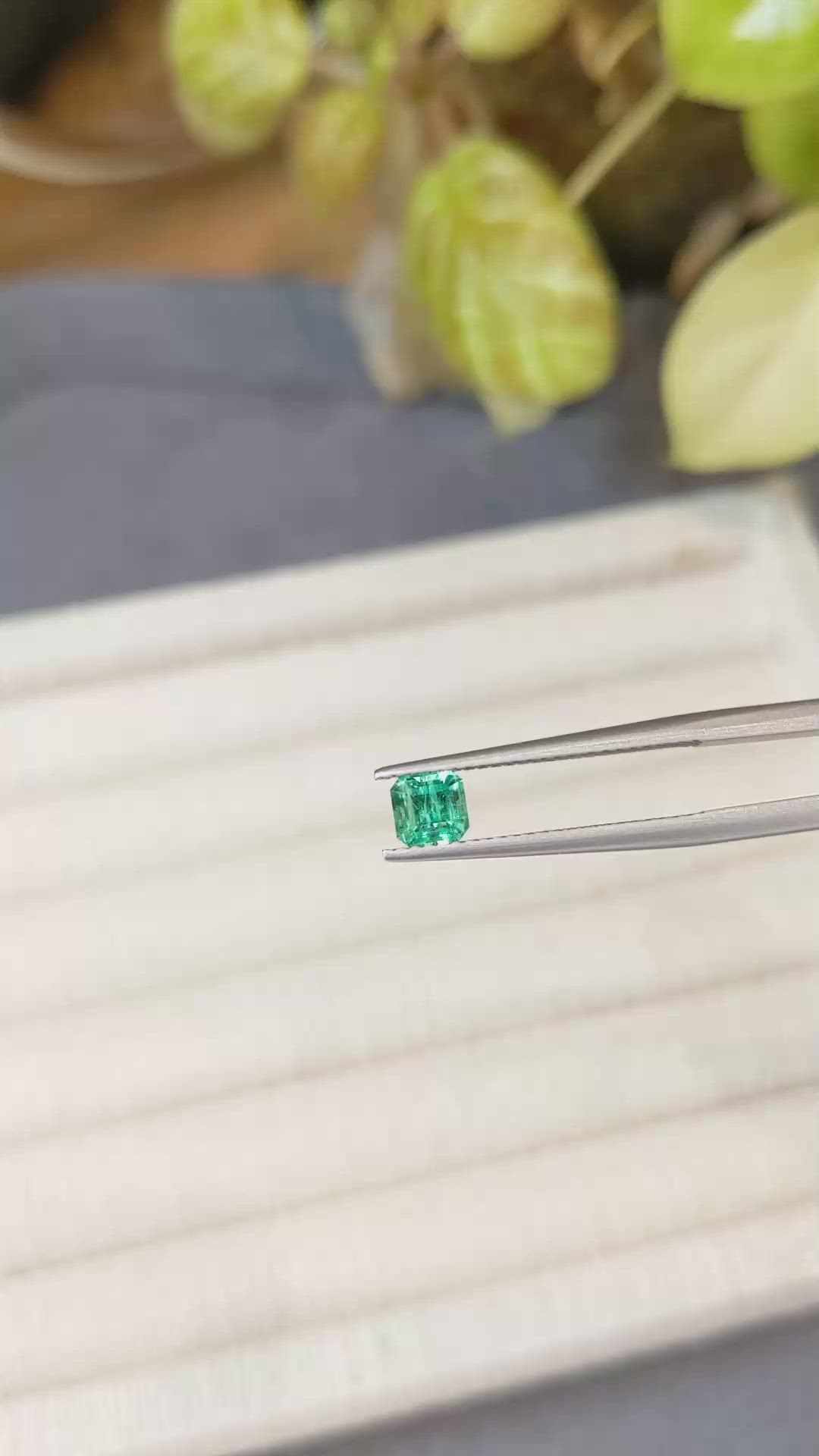 0.51 Ct. Emerald from Russia Size Video