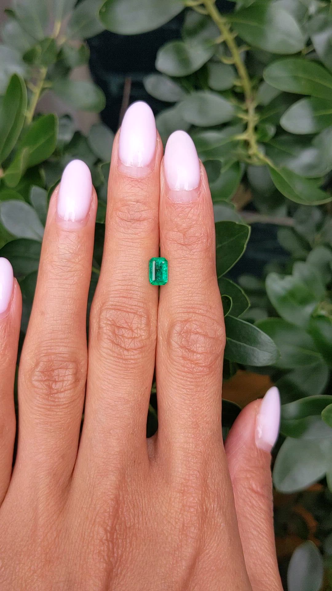0.79 Ct. Emerald from Zambia Size Video