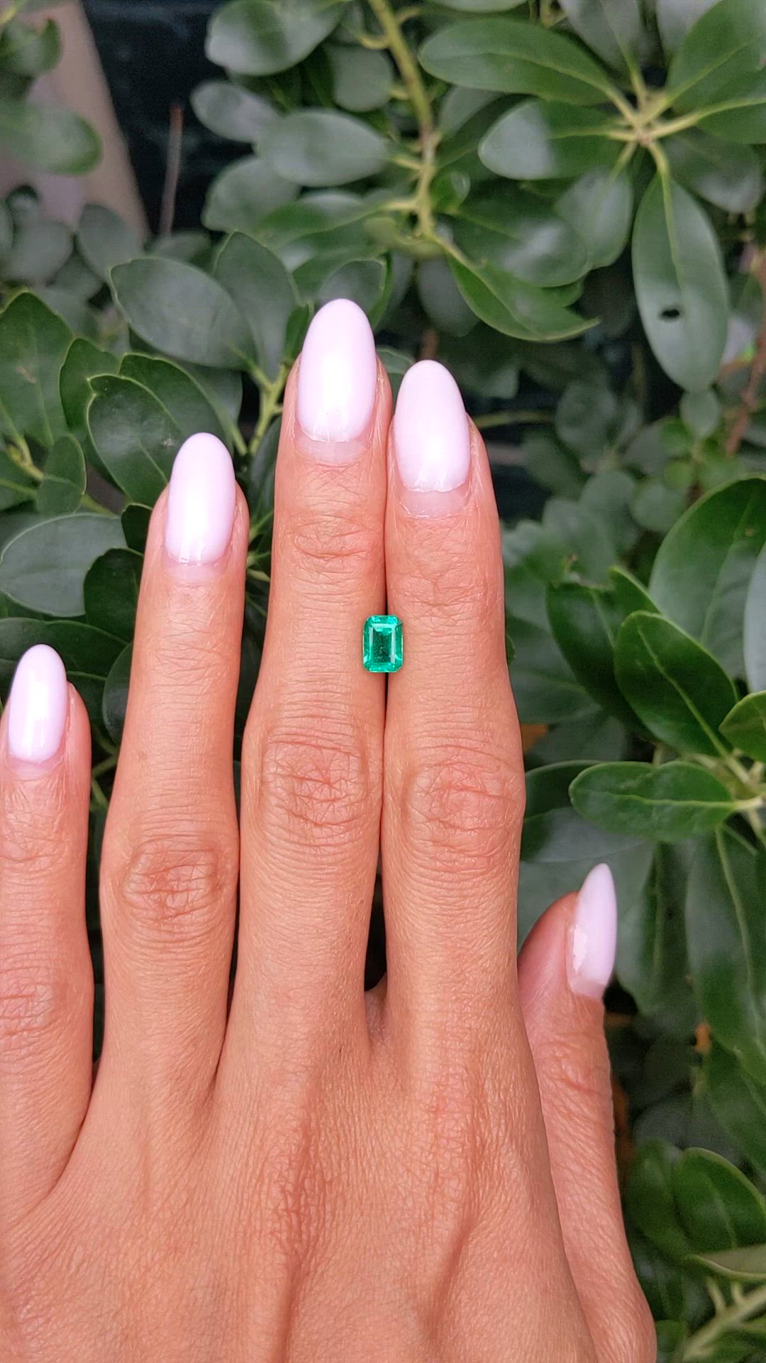0.82 Ct. Emerald from Zambia Size Video
