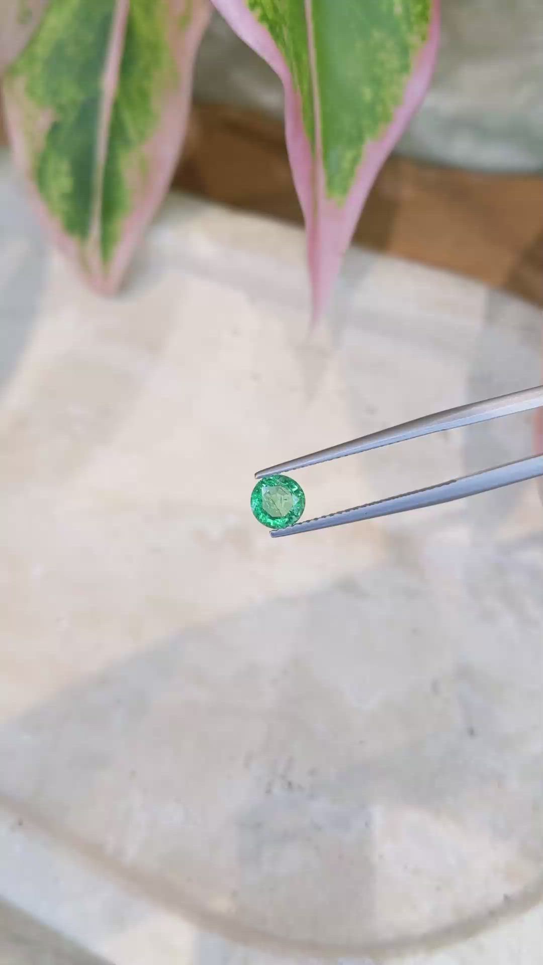 0.64 Ct. Emerald from Zambia Size Video