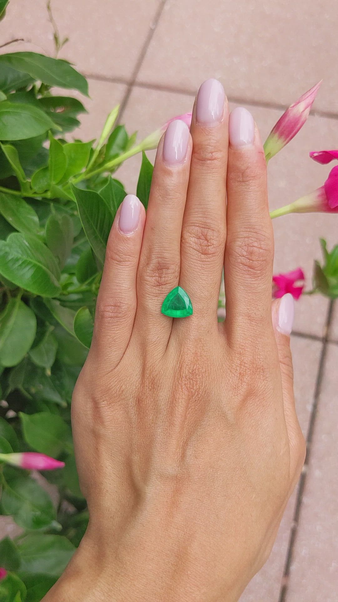 3.25 Ct. Emerald from Brazil Size Video