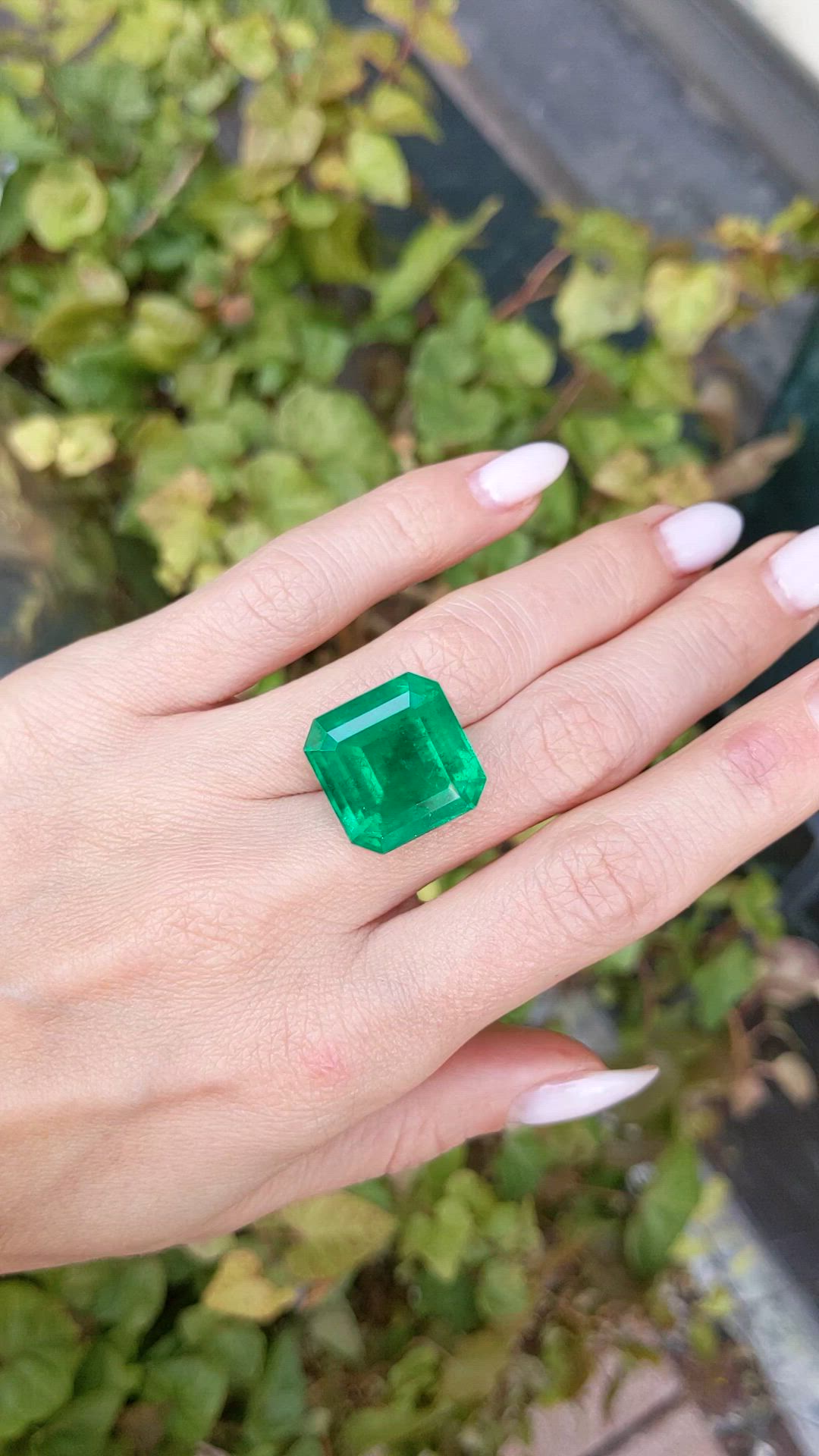 22.60 Ct. Emerald from Colombia Size Video