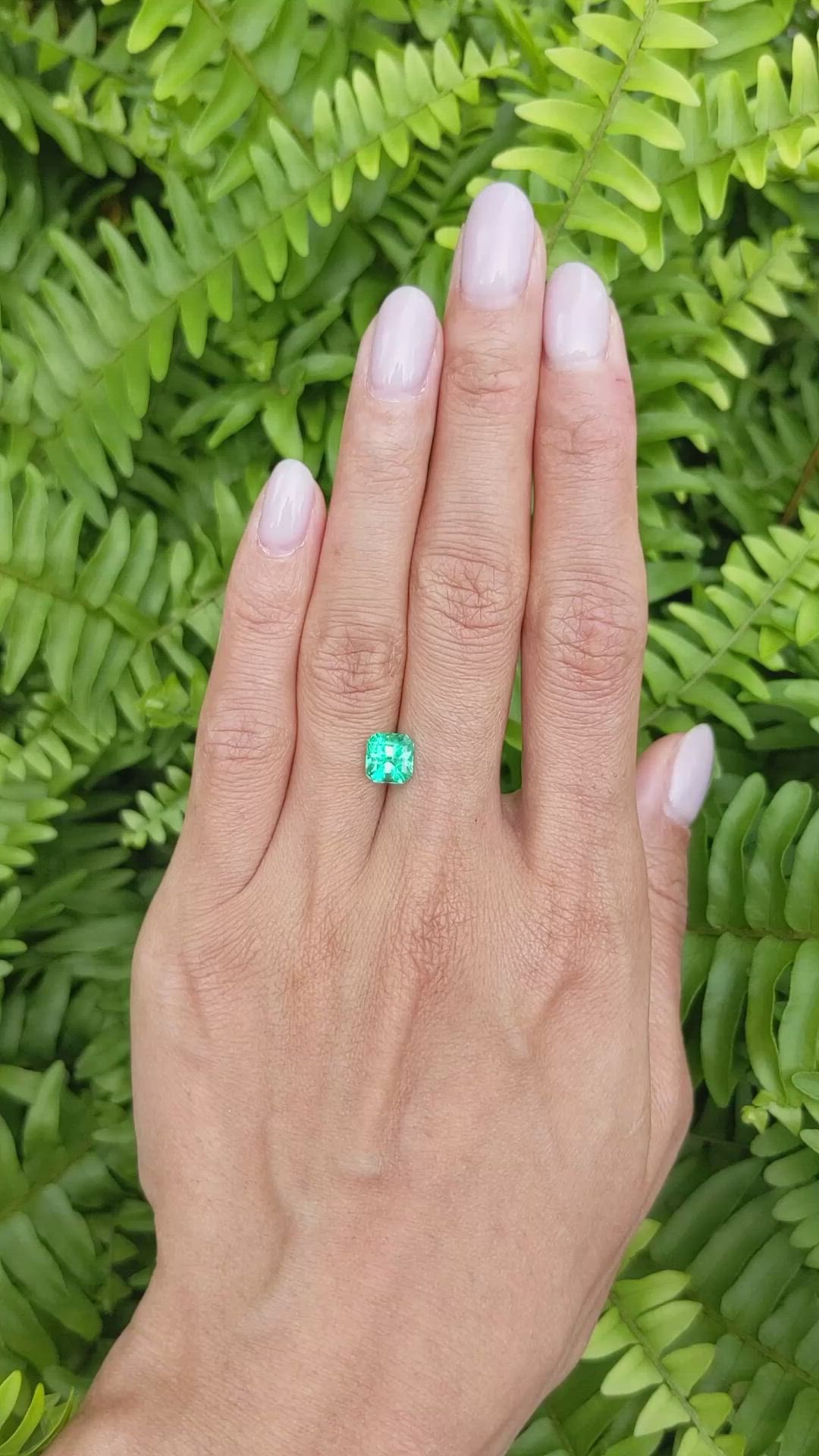 1.46 Ct. Emerald from Colombia Size Video