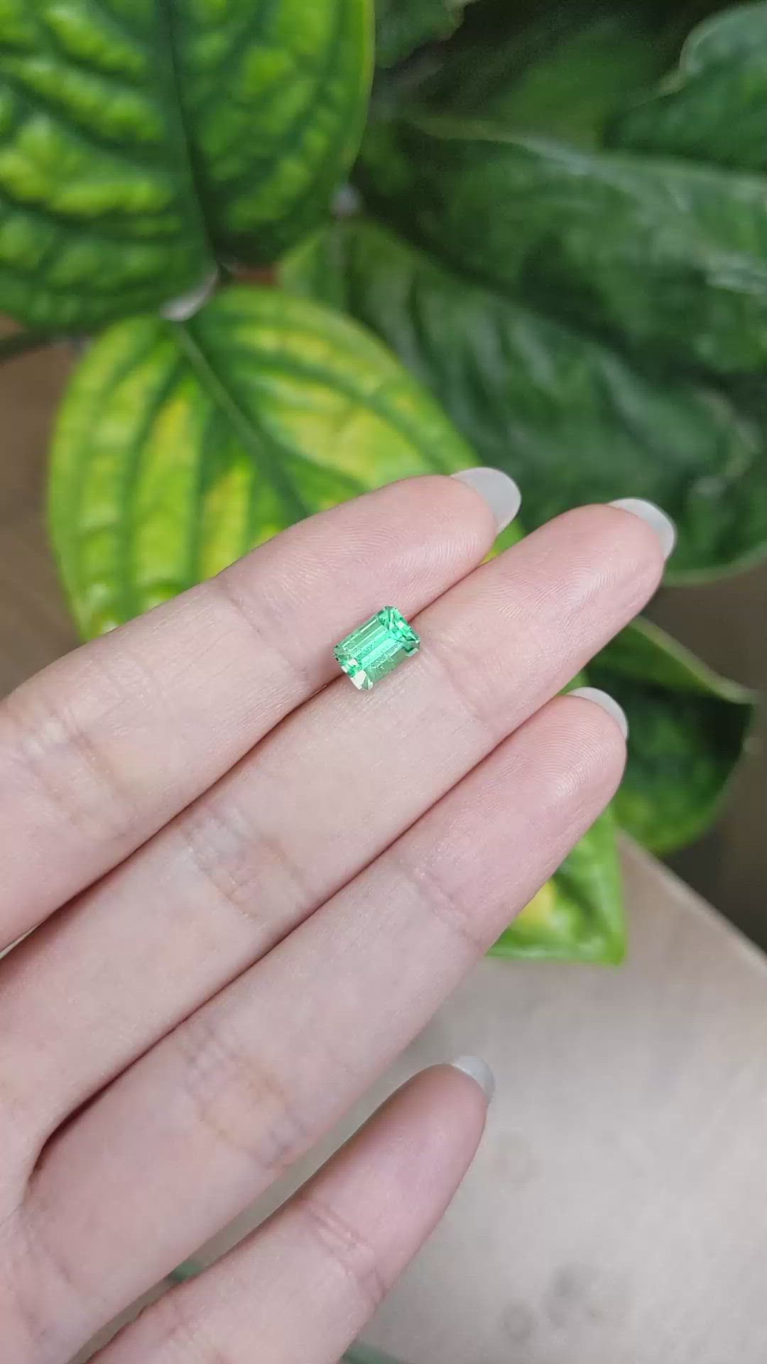 1.04 Ct. Emerald from Russia Size Video