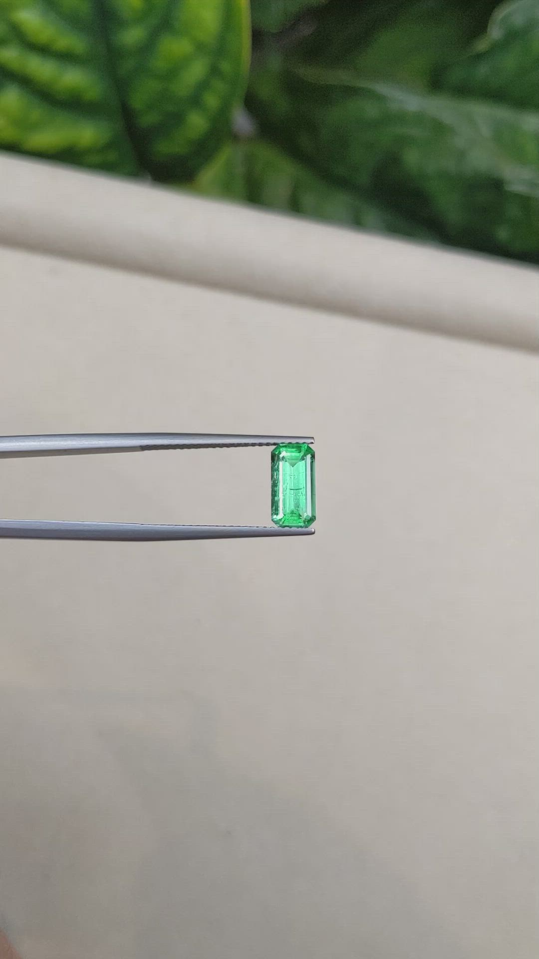 1.59 Ct. Emerald from Russia Size Video