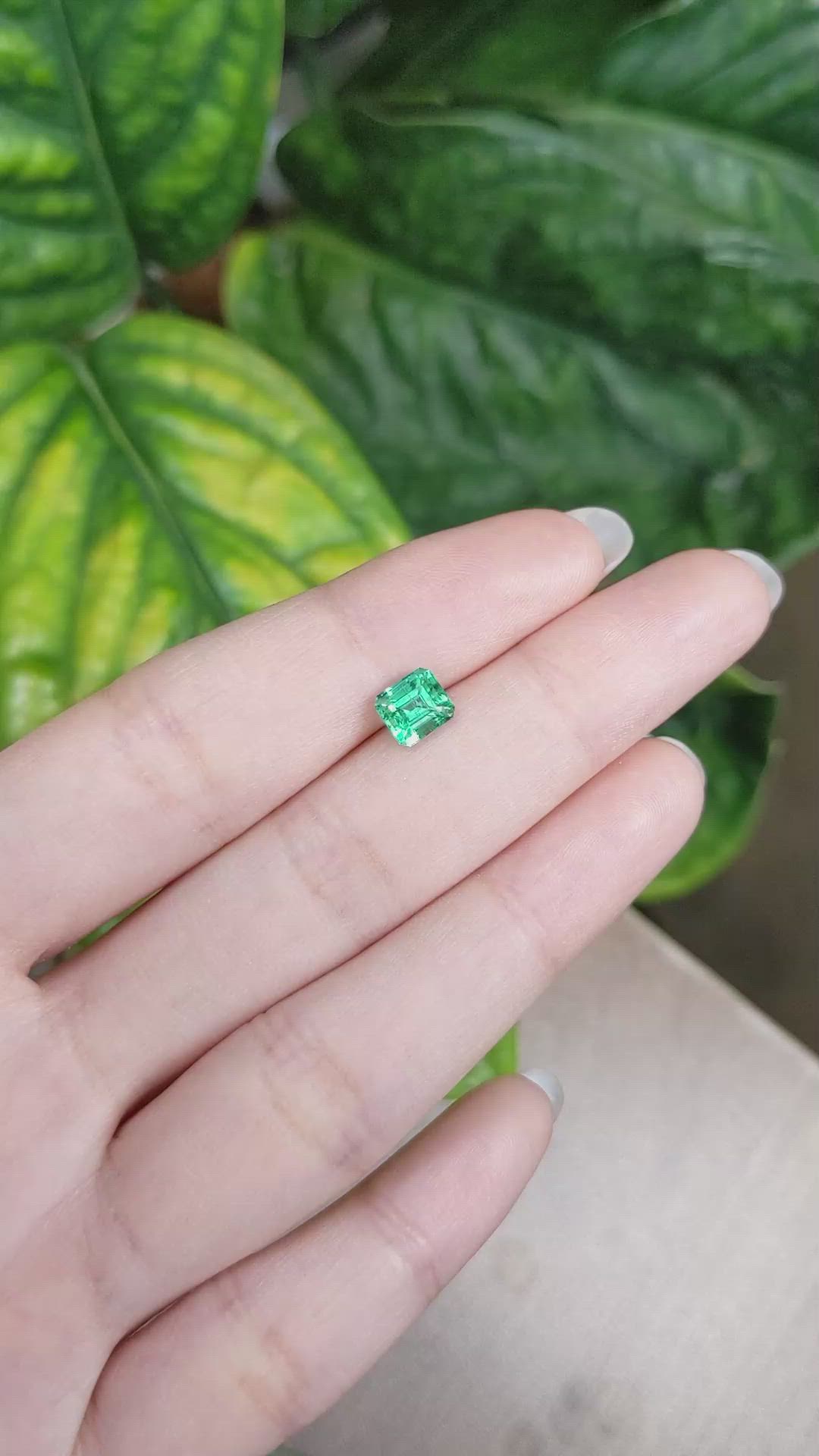 1.05 Ct. Emerald from Russia Size Video