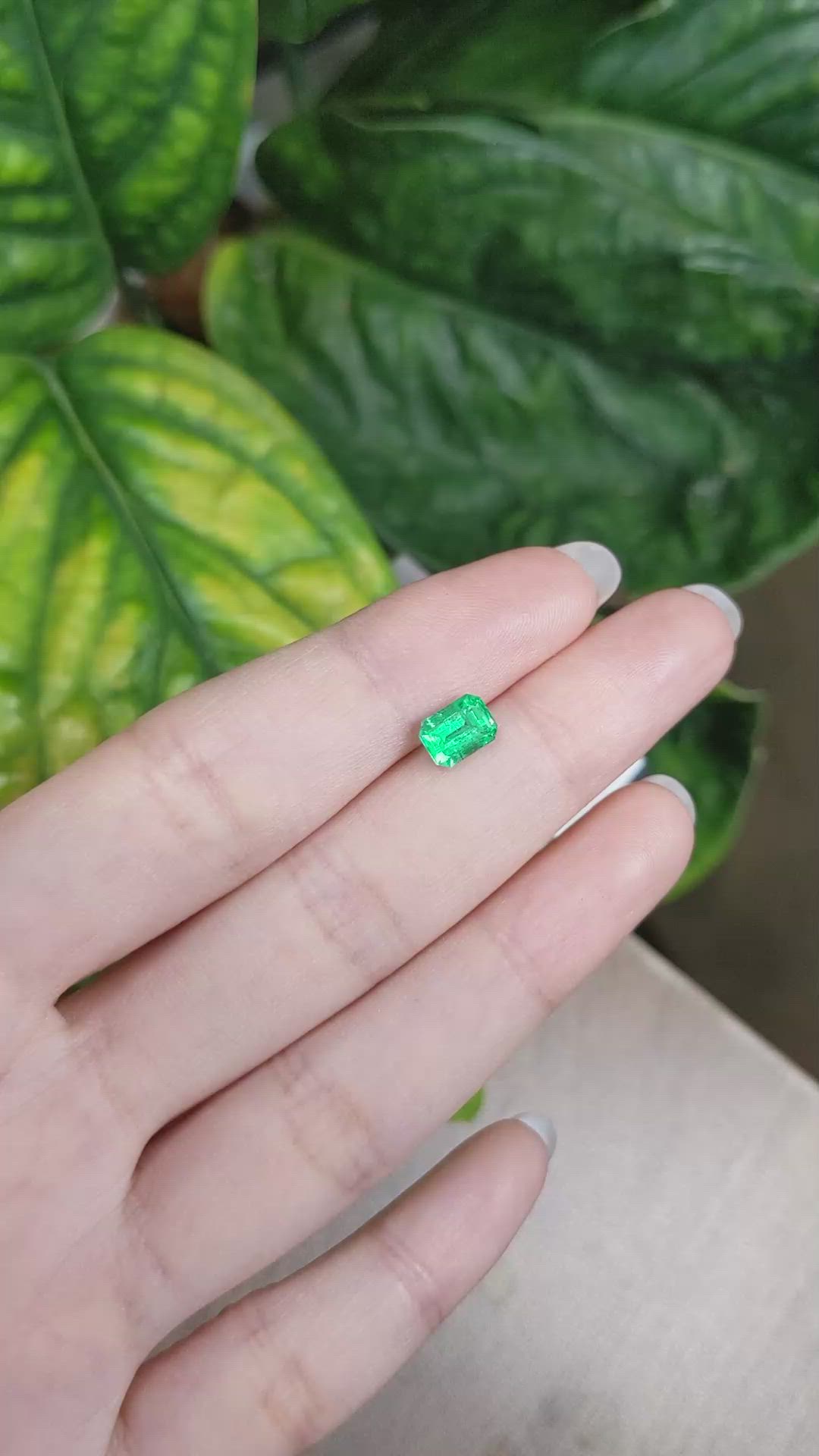 1.15 Ct. Emerald from Russia Size Video