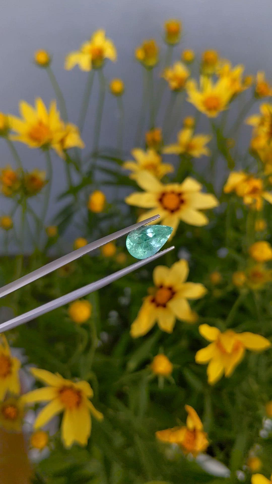 2.71 Ct. Emerald from Russia Size Video
