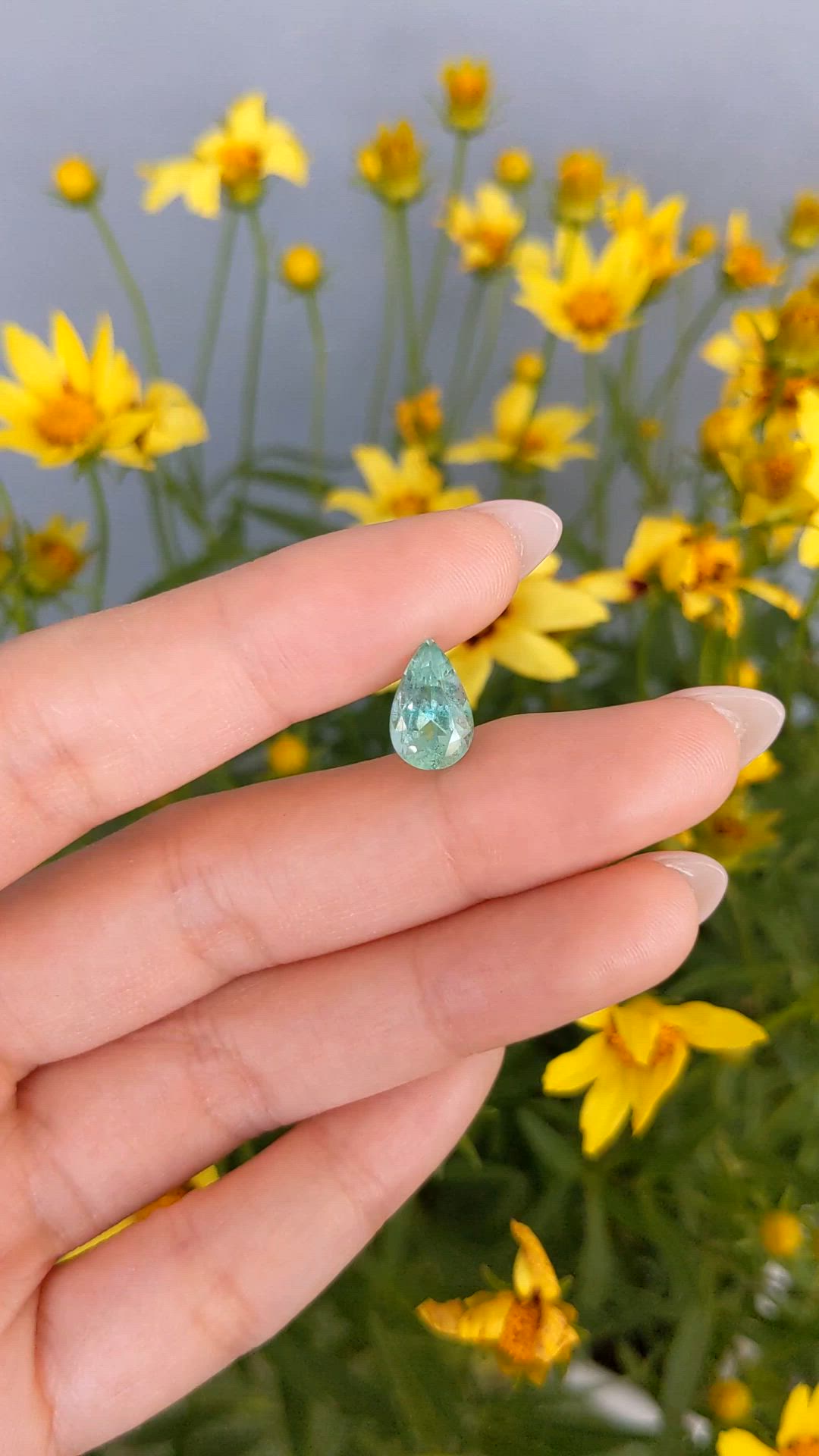 2.71 Ct. Emerald from Russia Size Video