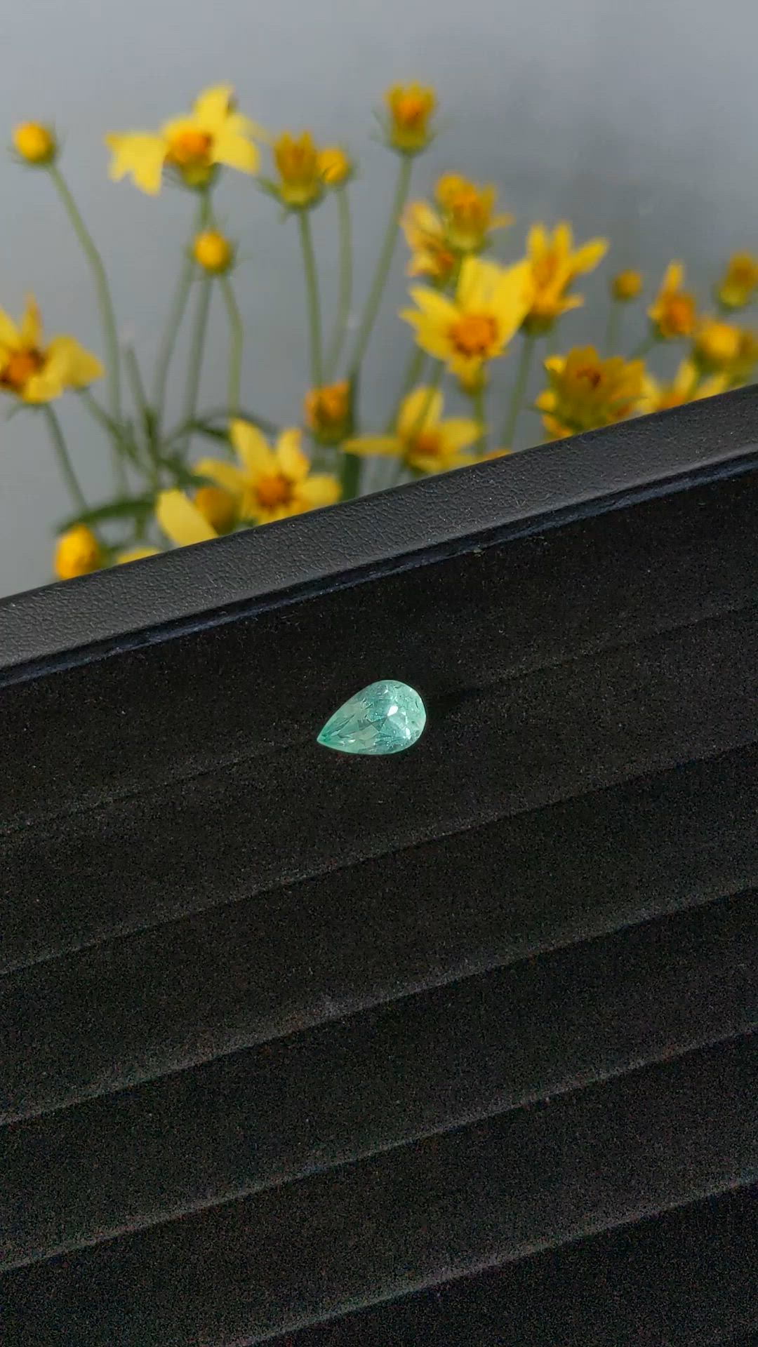 2.71 Ct. Emerald from Russia Size Video