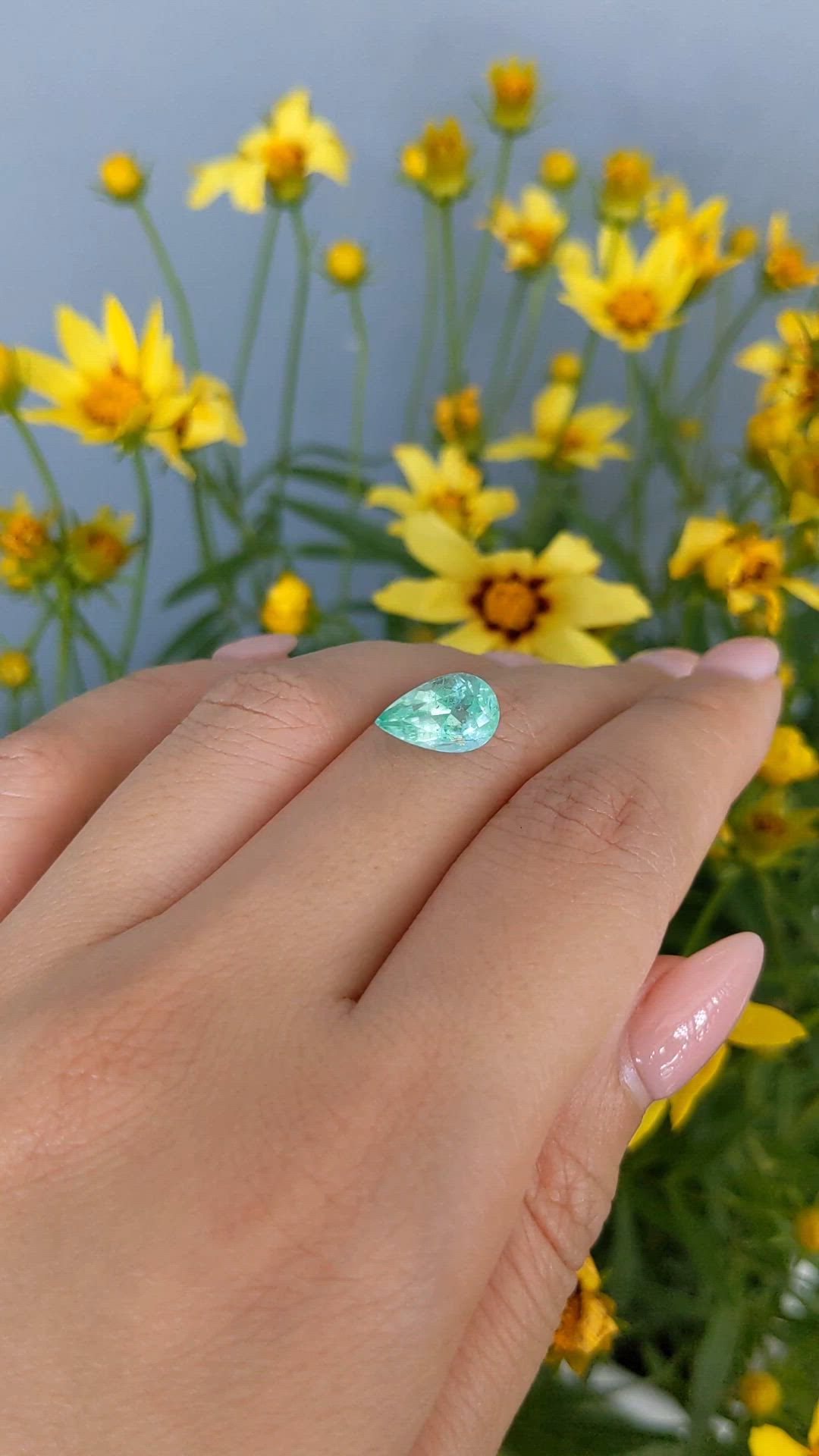 2.71 Ct. Emerald from Russia Size Video