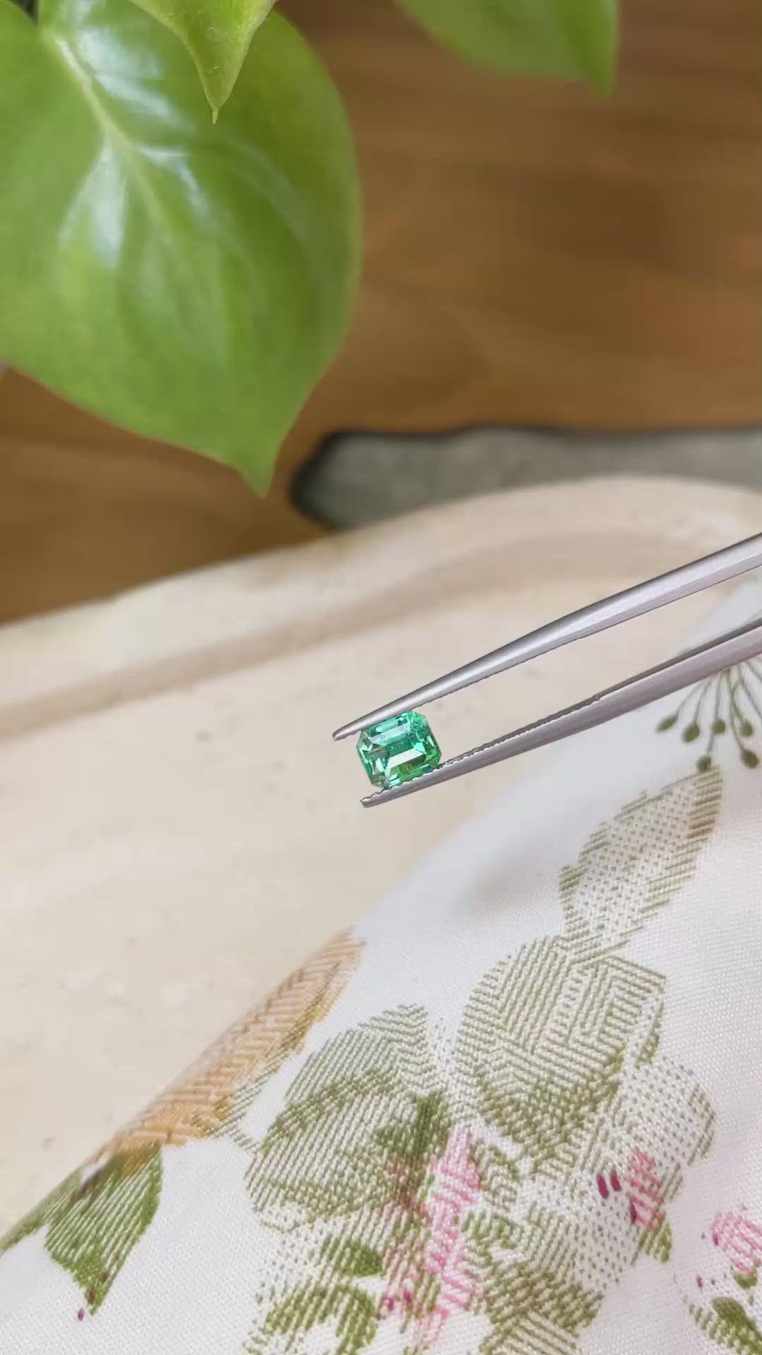 1.02 Ct. Emerald from Russia Size Video