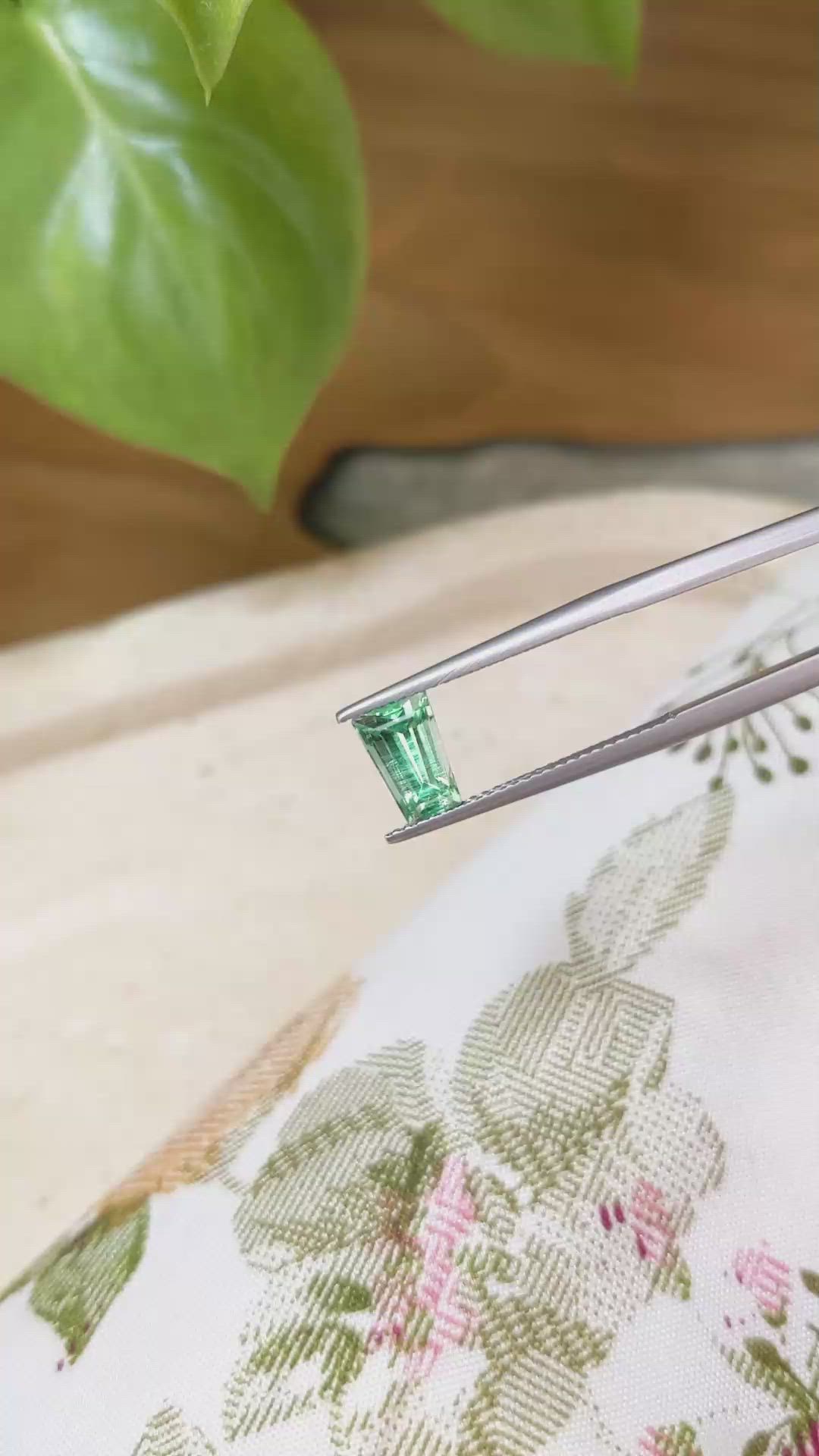 1.27 Ct. Emerald from Russia Size Video