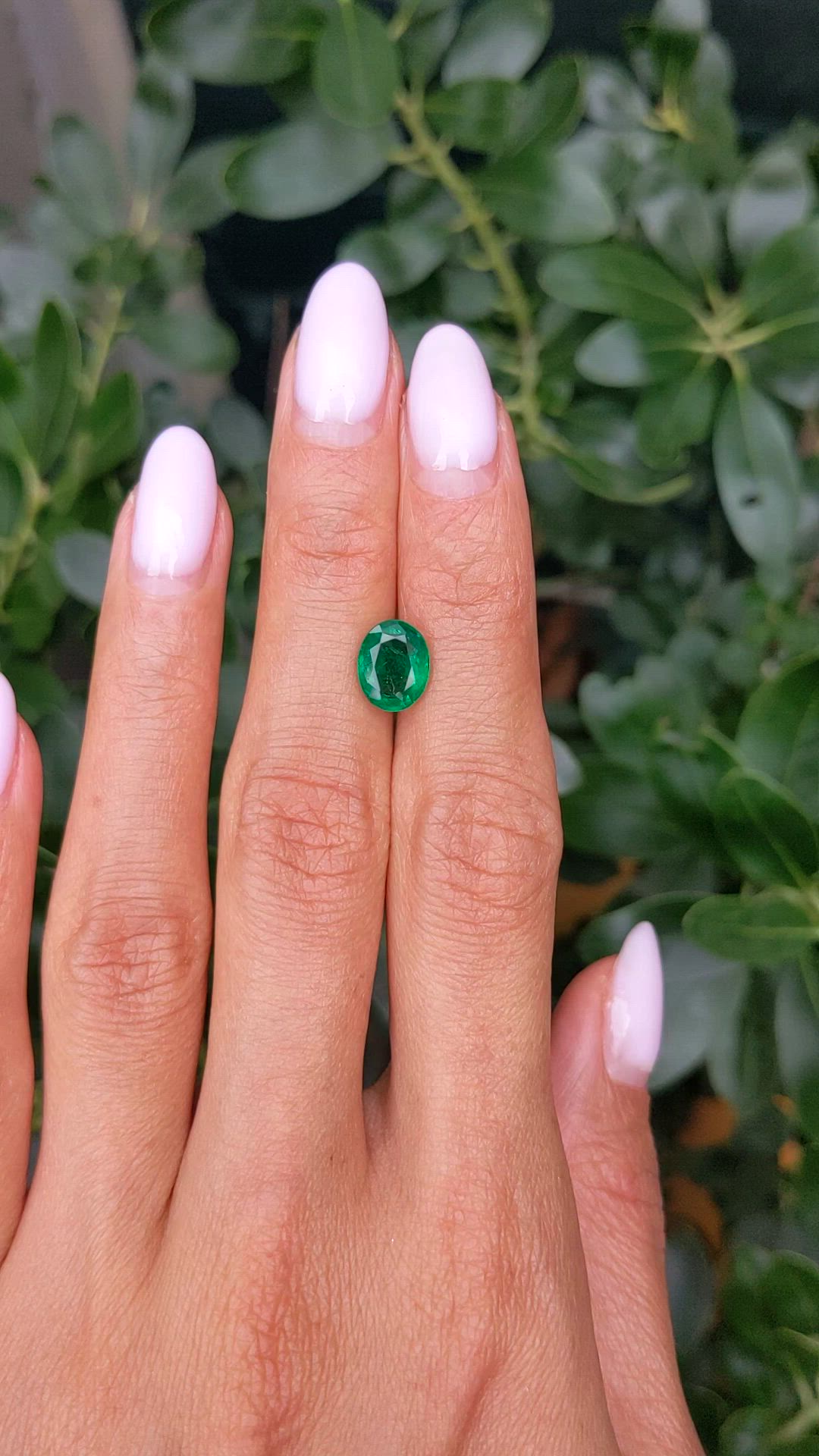 1.77 Ct. Emerald from Zambia Size Video
