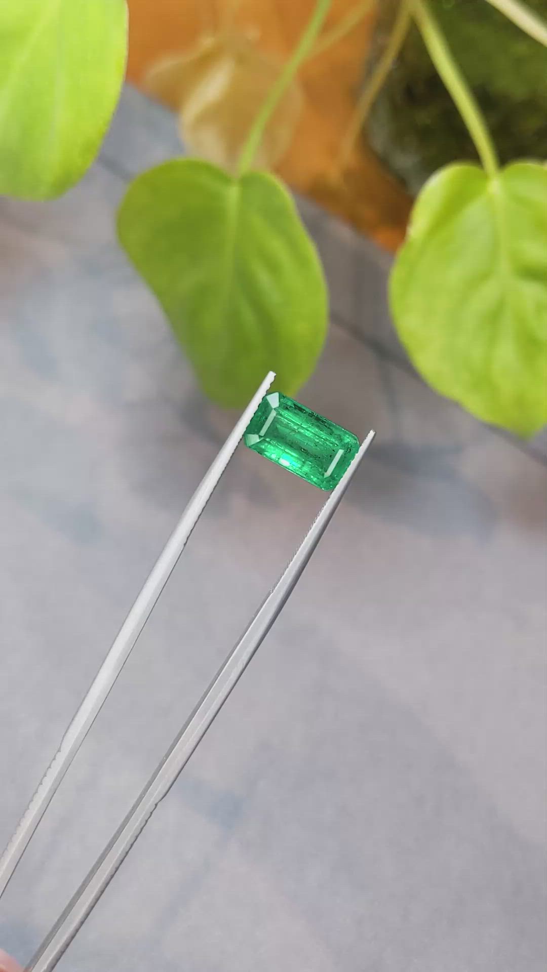 2.97 Ct. Emerald from Zambia Size Video