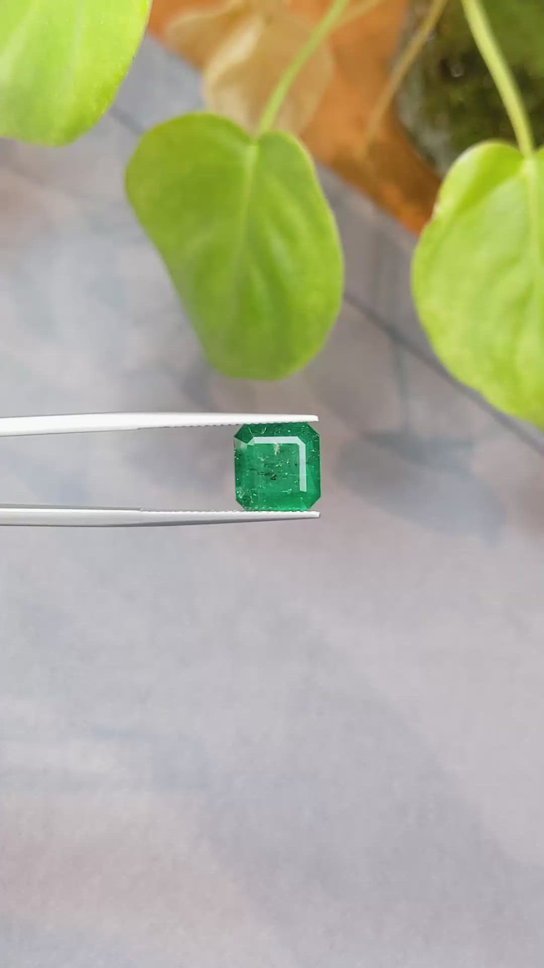 3.60 Ct. Emerald from Zambia Size Video