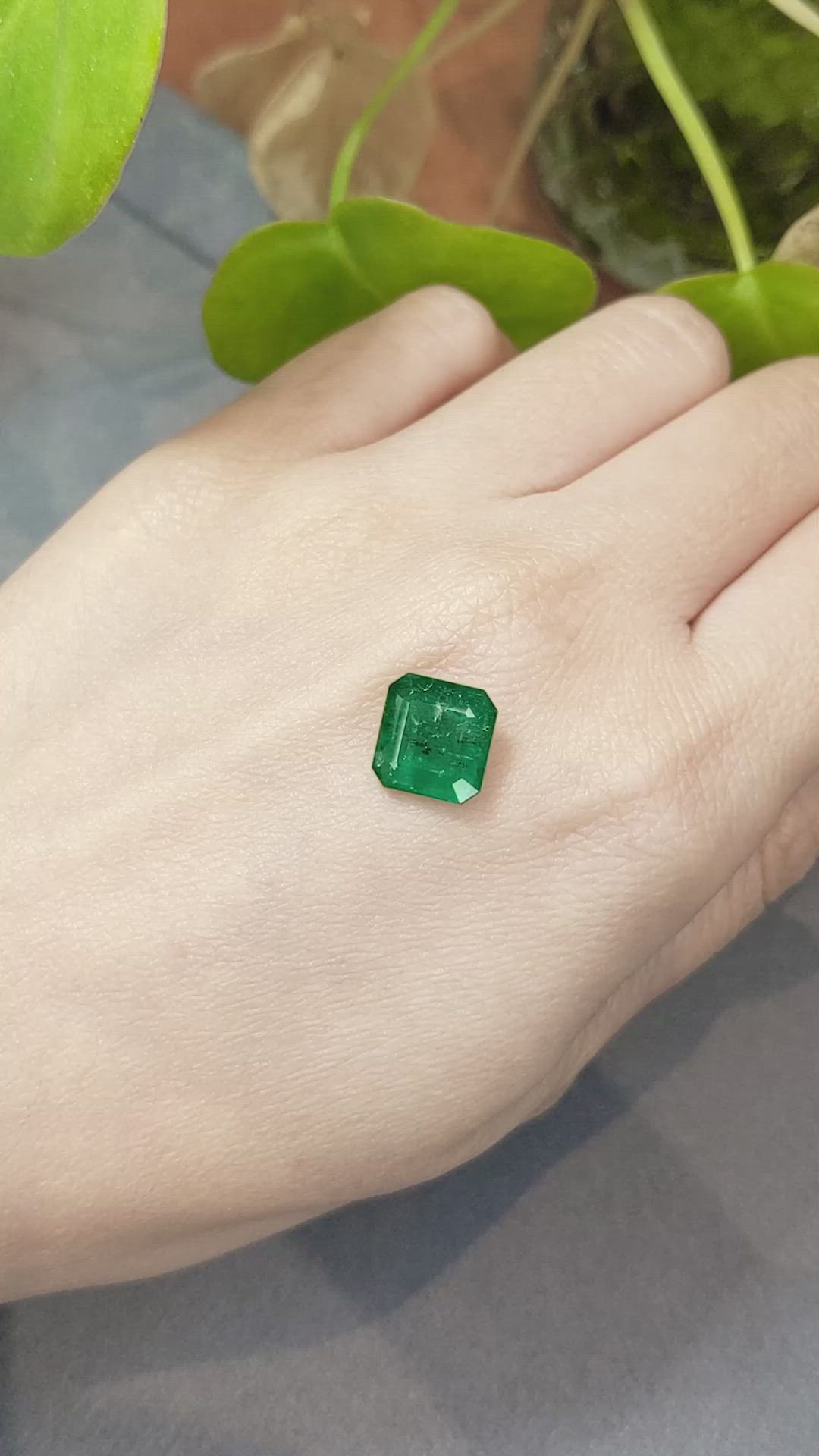 3.60 Ct. Emerald from Zambia Size Video
