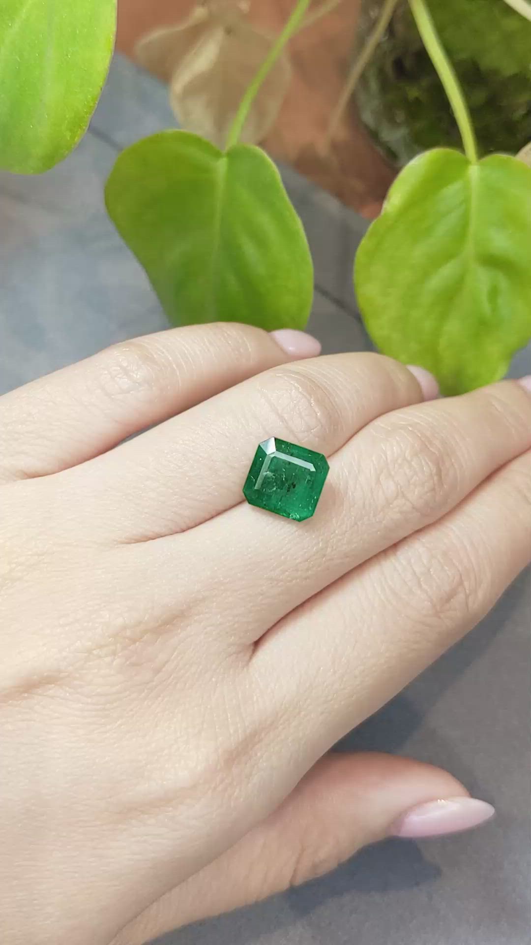3.60 Ct. Emerald from Zambia Size Video