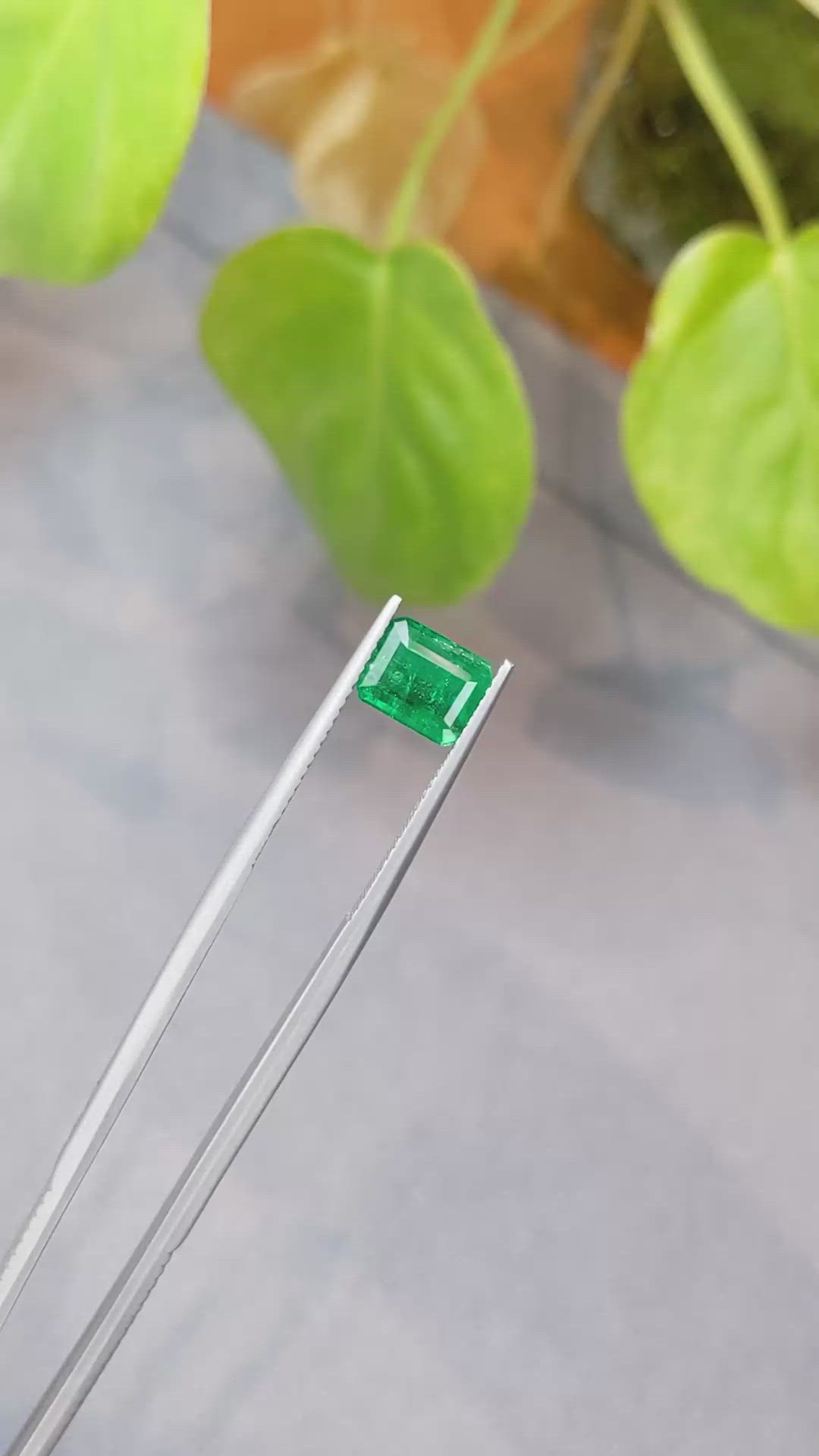 1.42 Ct. Emerald from Zambia Size Video