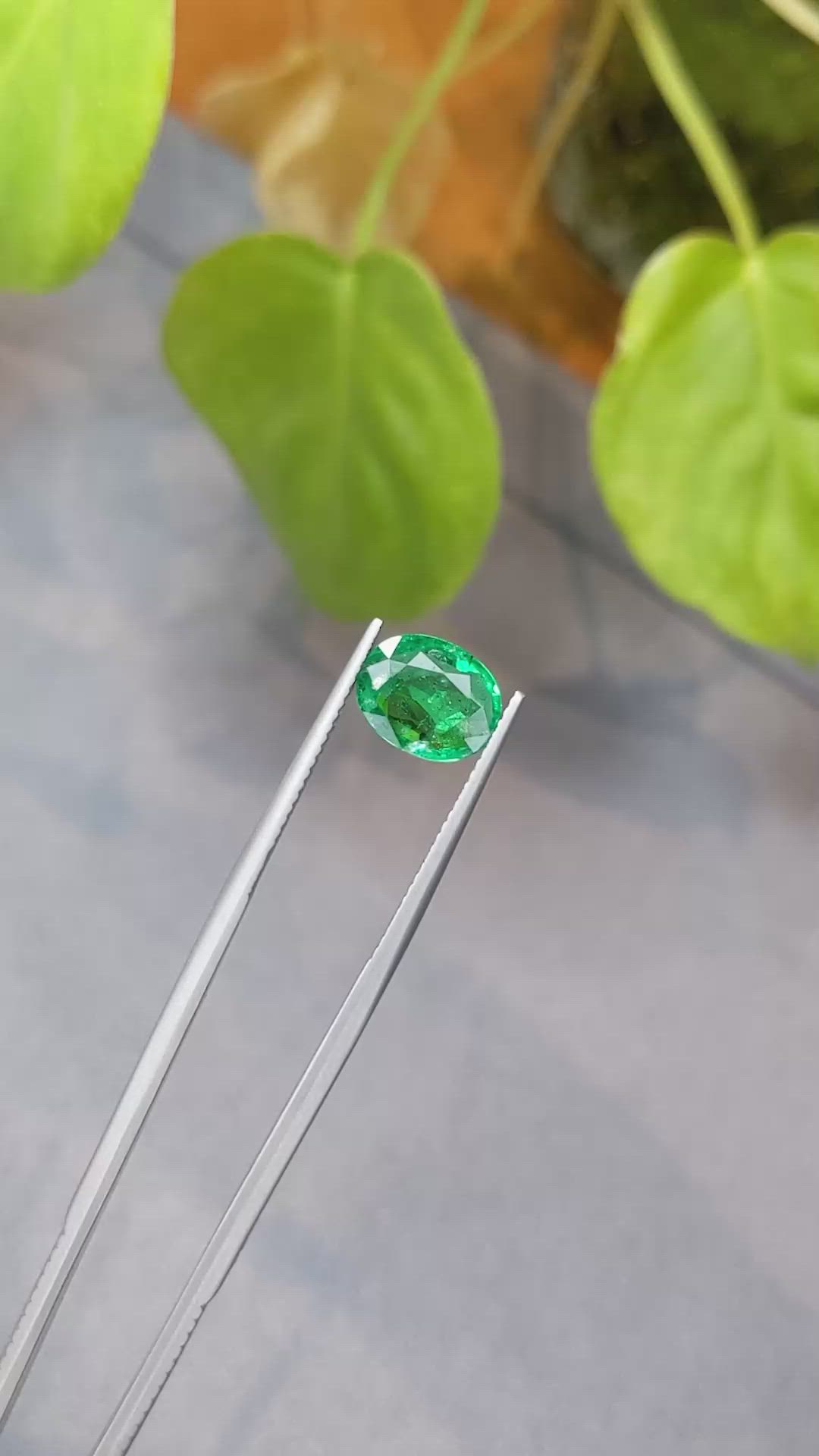 2.32 Ct. Emerald from Zambia Size Video