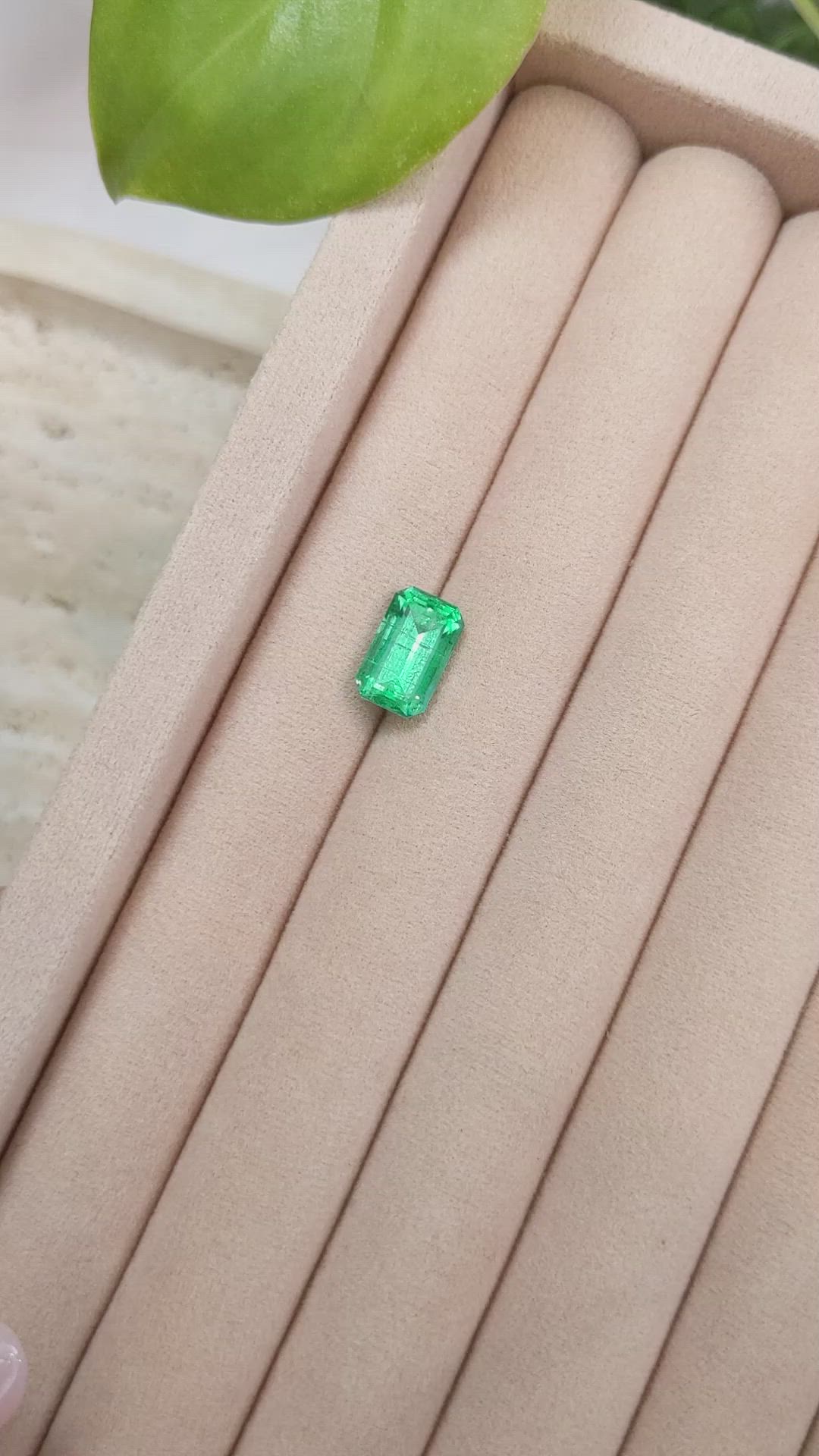 3.11 Ct. Emerald from Russia Size Video