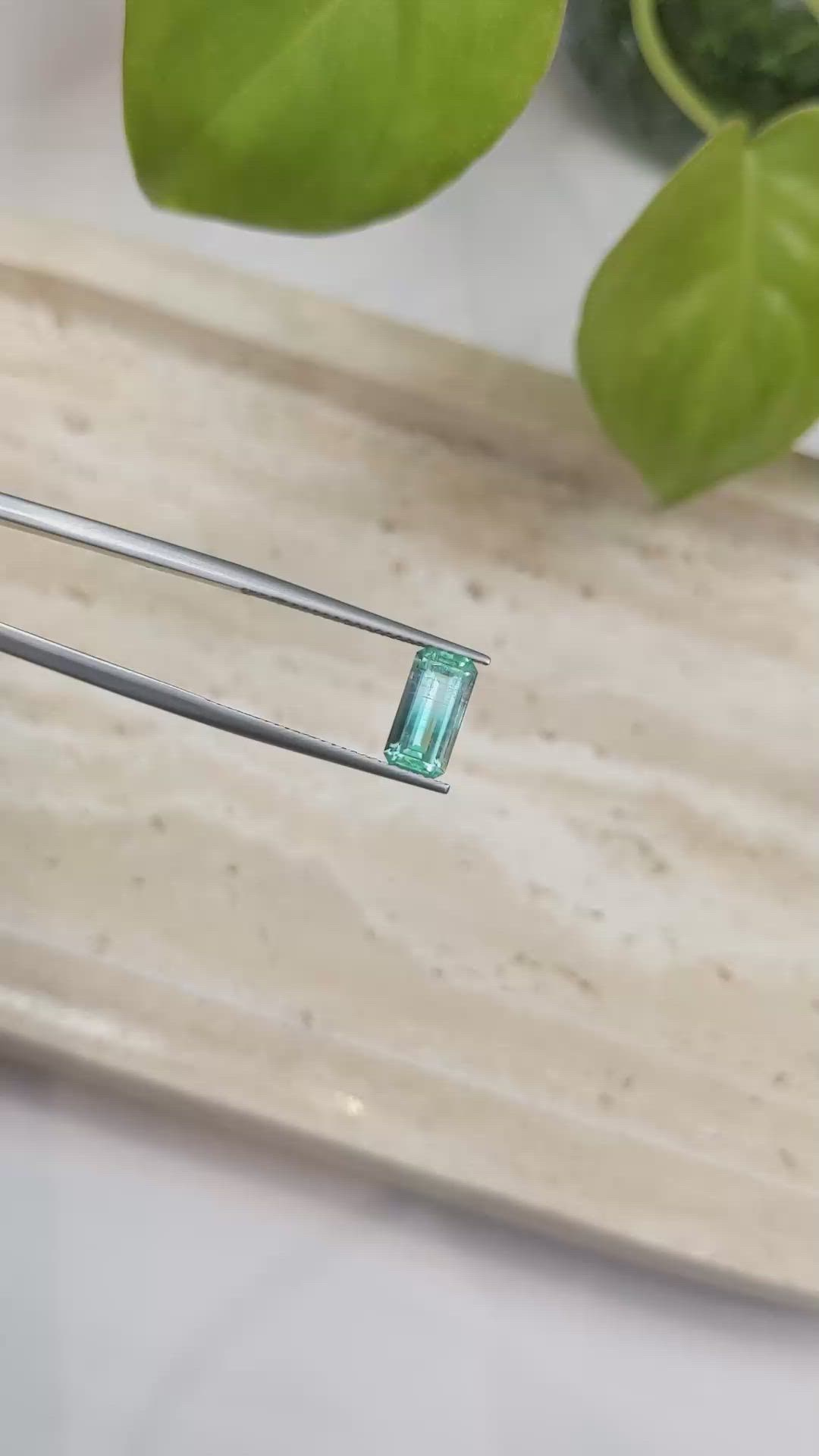 1.47 Ct. Emerald from Russia Size Video