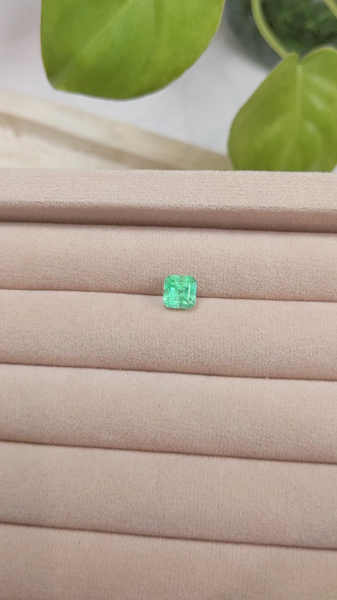1.39 Ct. Emerald from Russia Size Video