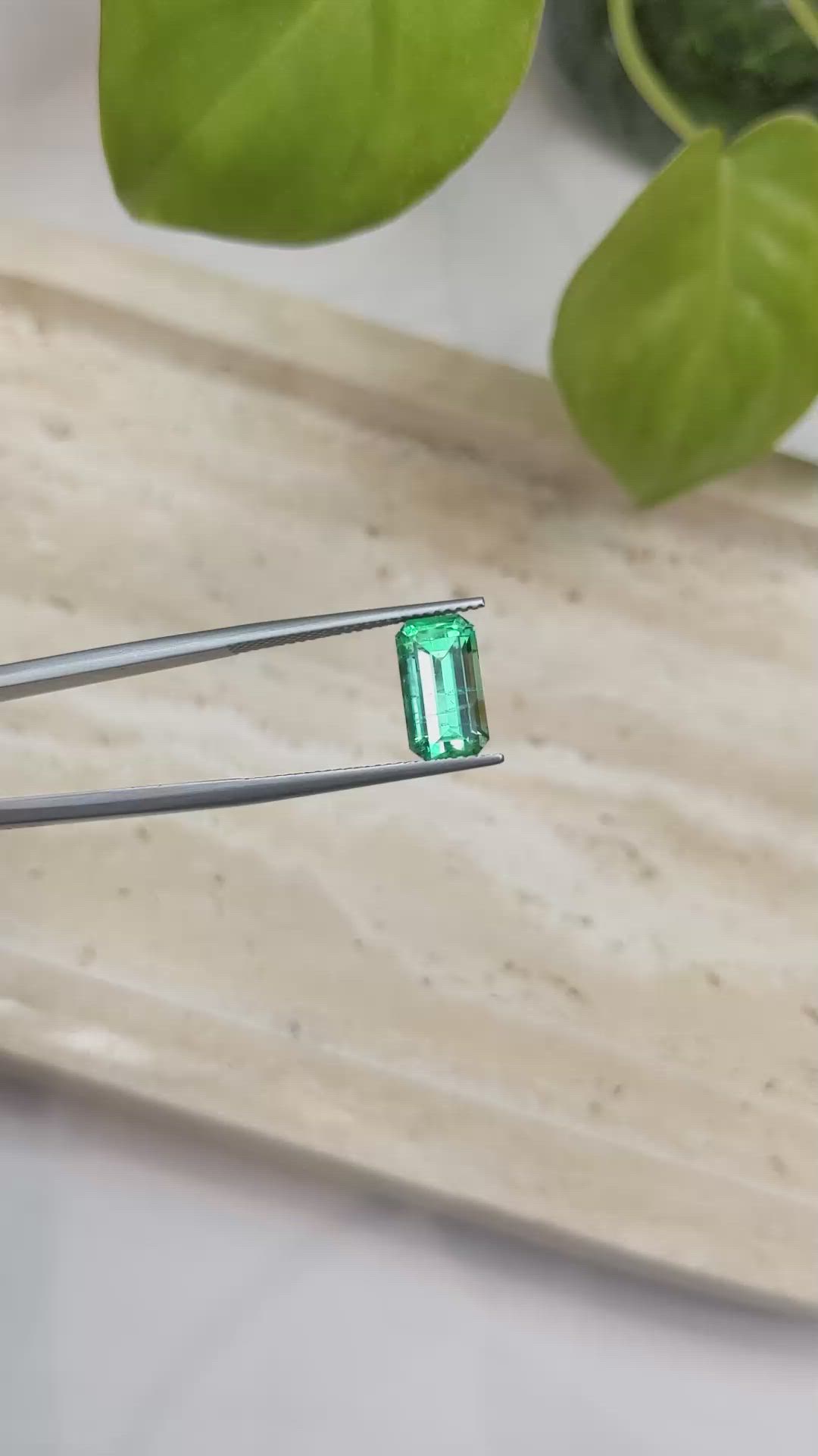 3.19 Ct. Emerald from Russia Size Video
