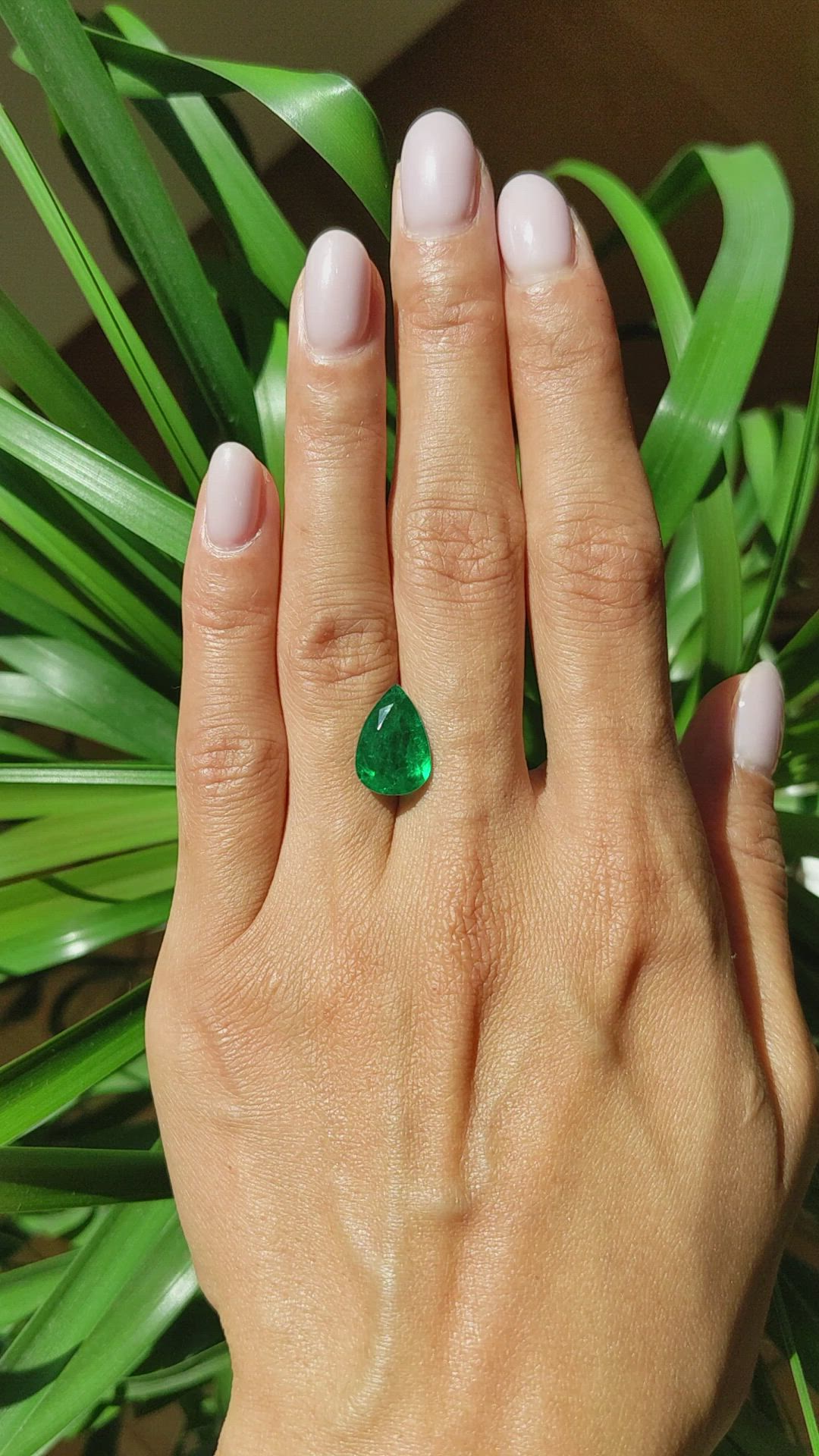 3.67 Ct. Emerald from Zambia Size Video