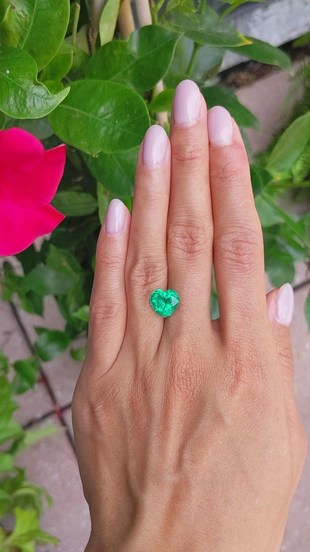 3.50 Ct. Emerald from Zambia Size Video