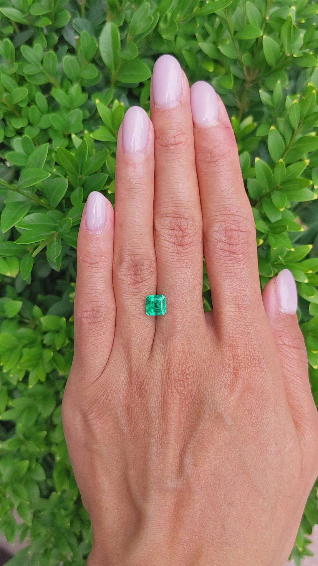 1.67 Ct. Emerald from Zambia Size Video