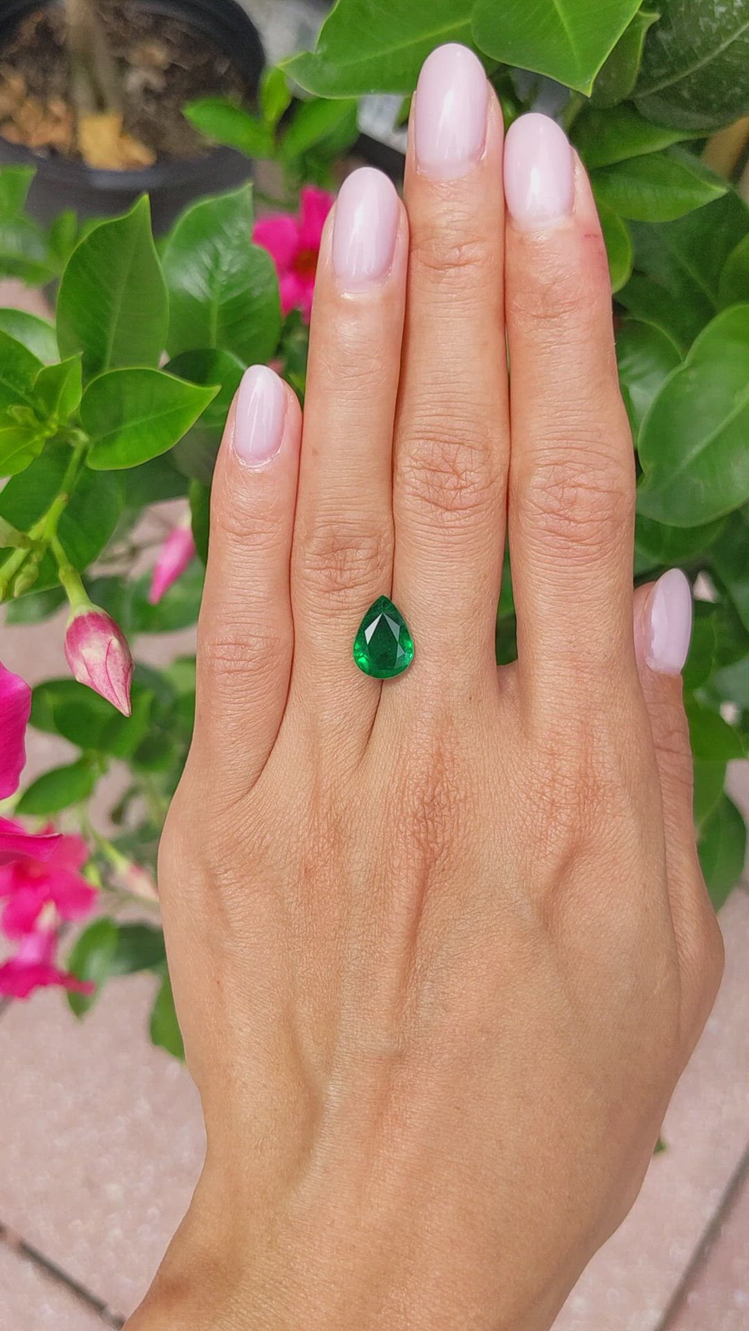 3.13 Ct. Emerald from Zambia Size Video