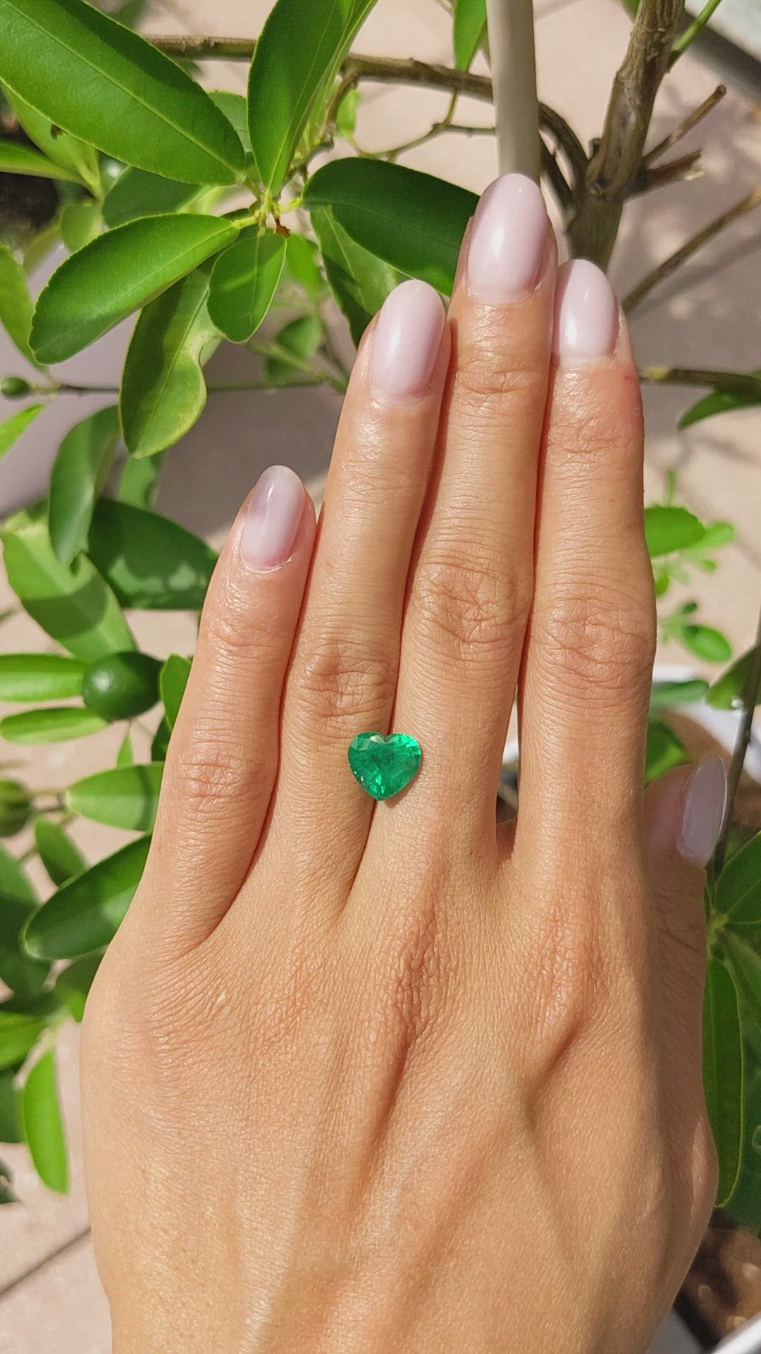 2.48 Ct. Emerald from Zambia Size Video