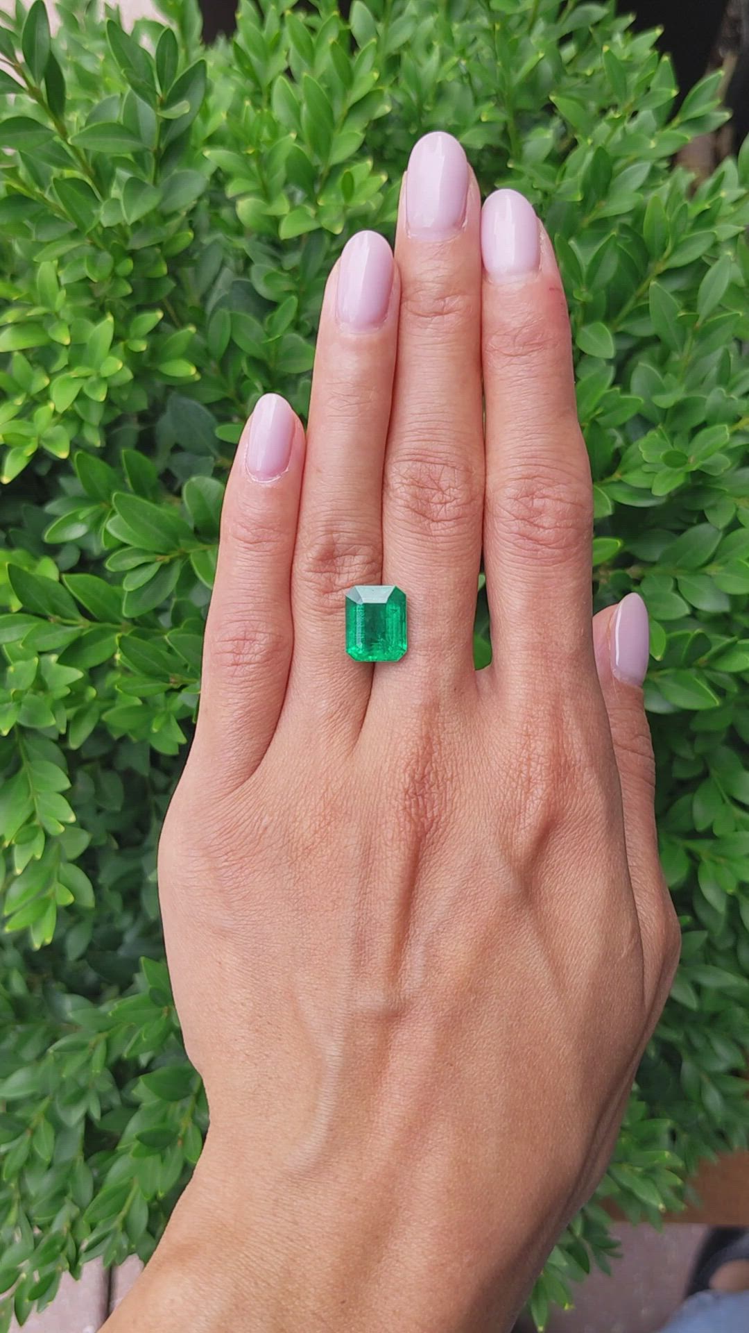 5.29 Ct. Emerald from Zambia Size Video