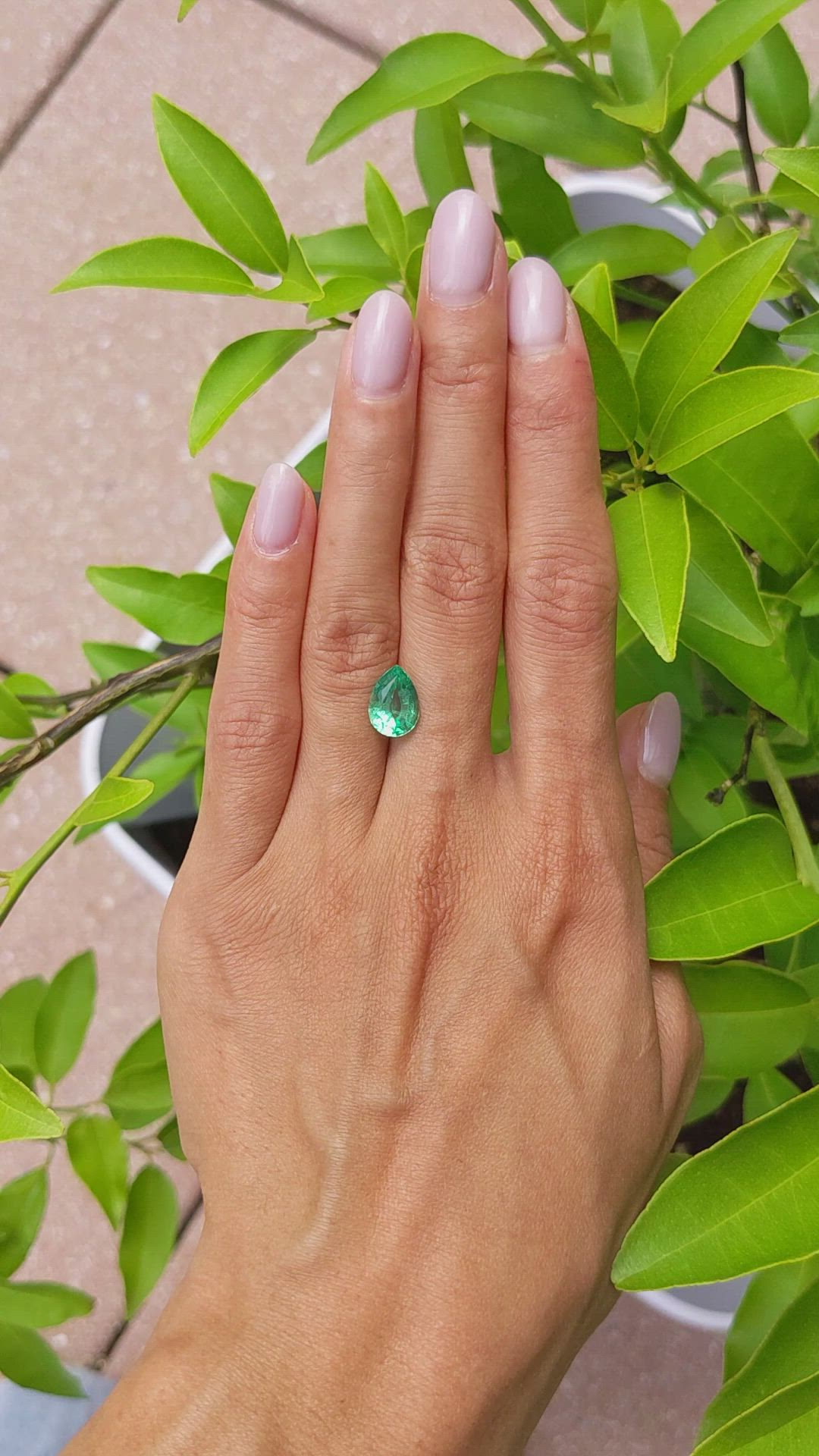 2.33 Ct. Emerald from Brazil Size Video