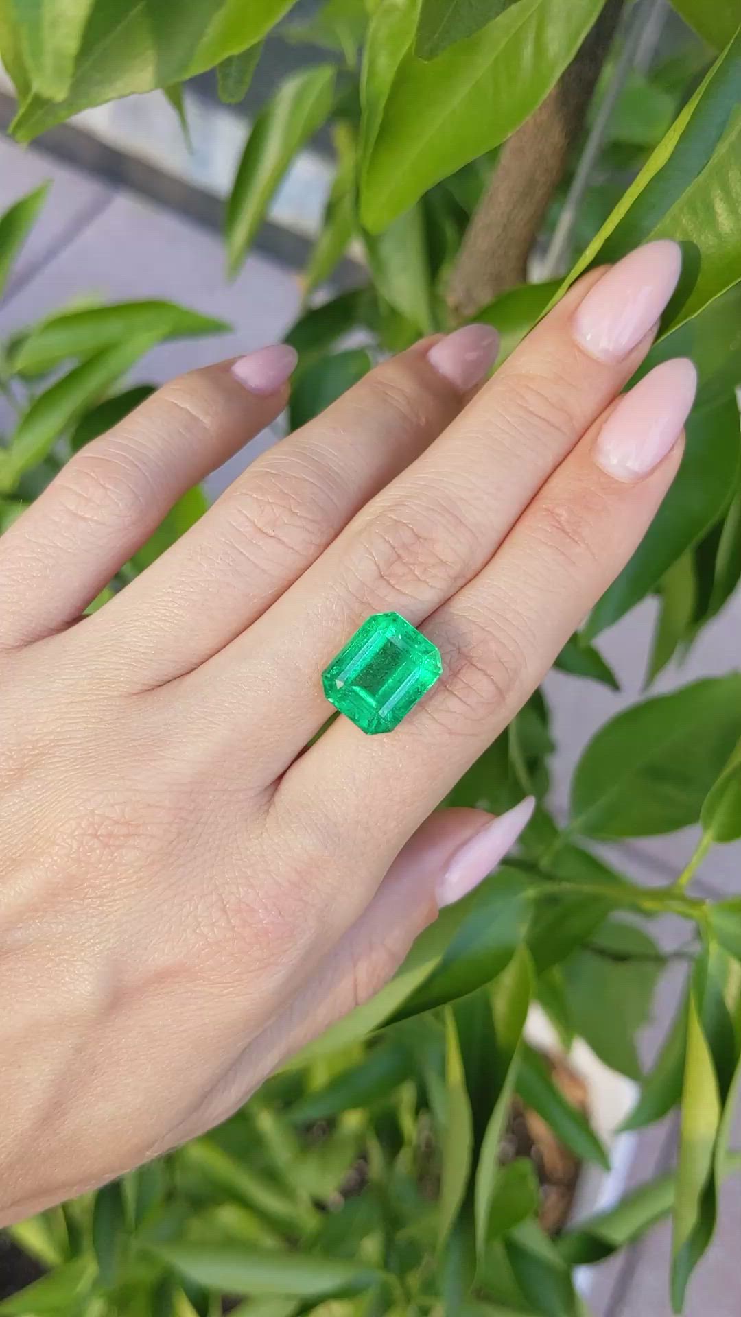 8.46 Ct. Emerald from Zambia Size Video