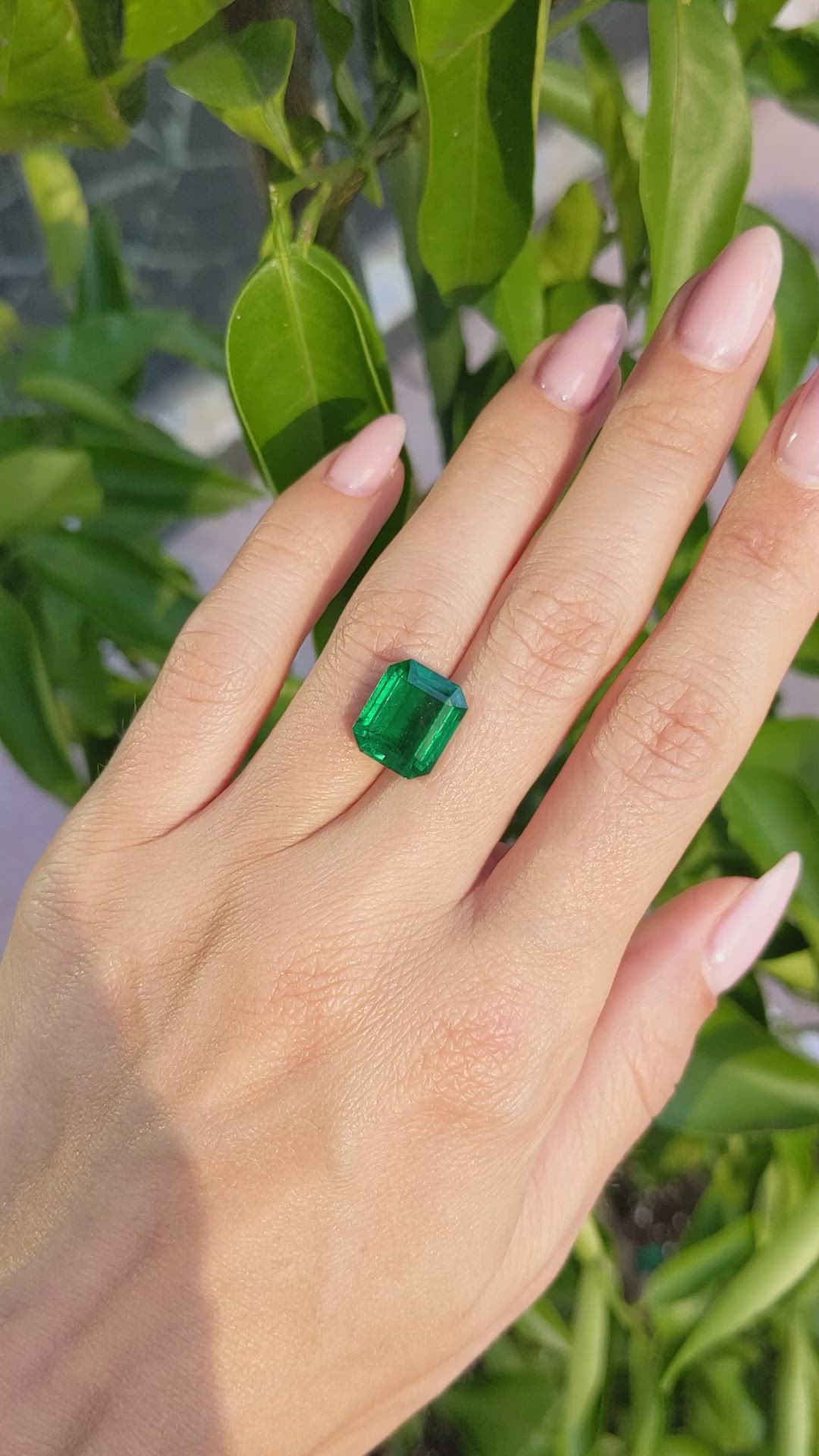 6.33 Ct. Emerald from Zambia Size Video