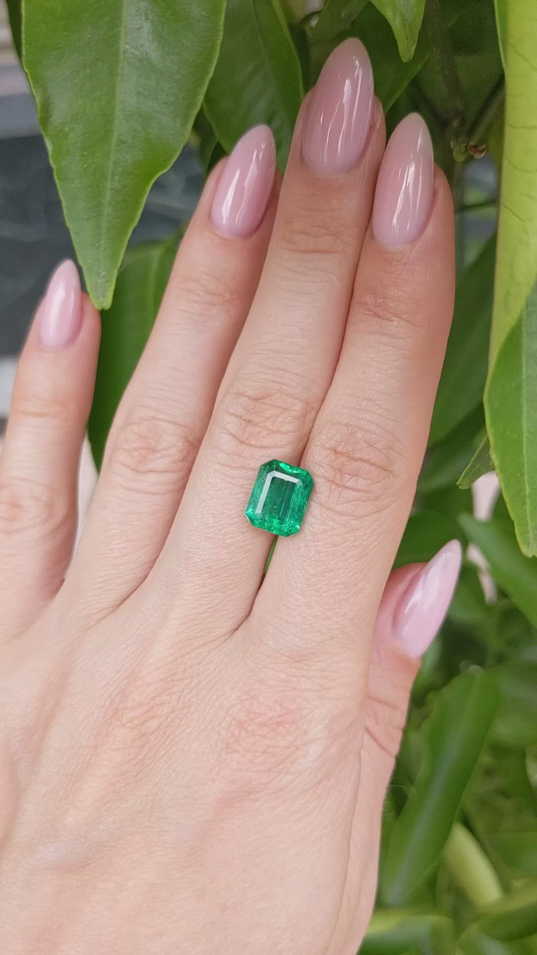 3.58 Ct. Emerald from Zambia Size Video