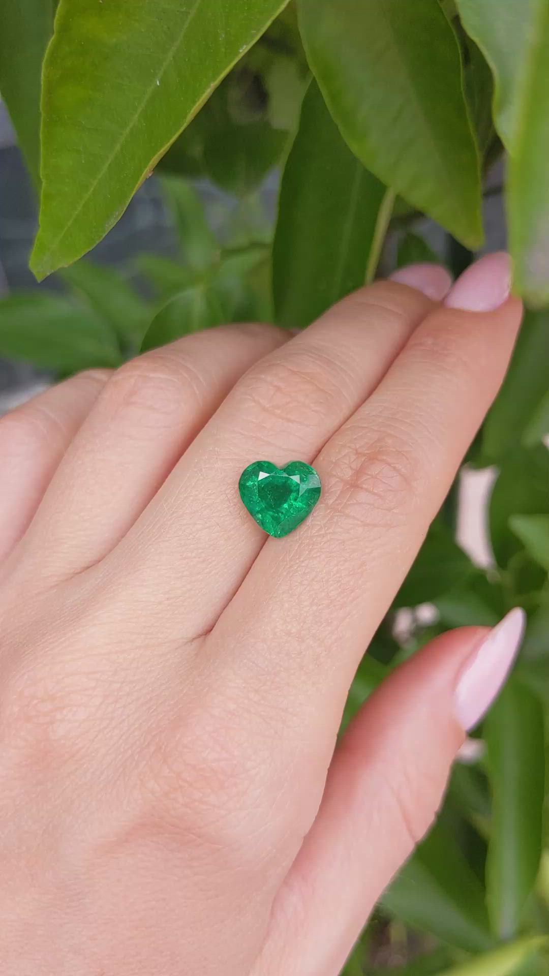 3.31 Ct. Emerald from Zambia Size Video