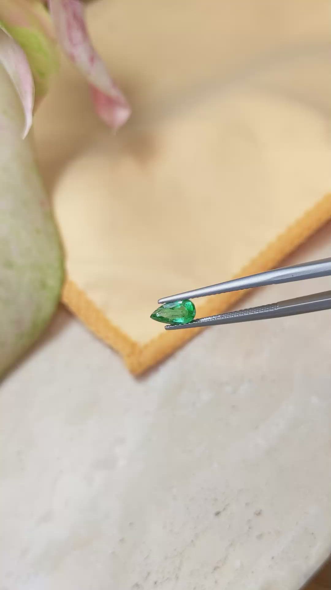 0.88 Ct. Emerald from Zambia Size Video
