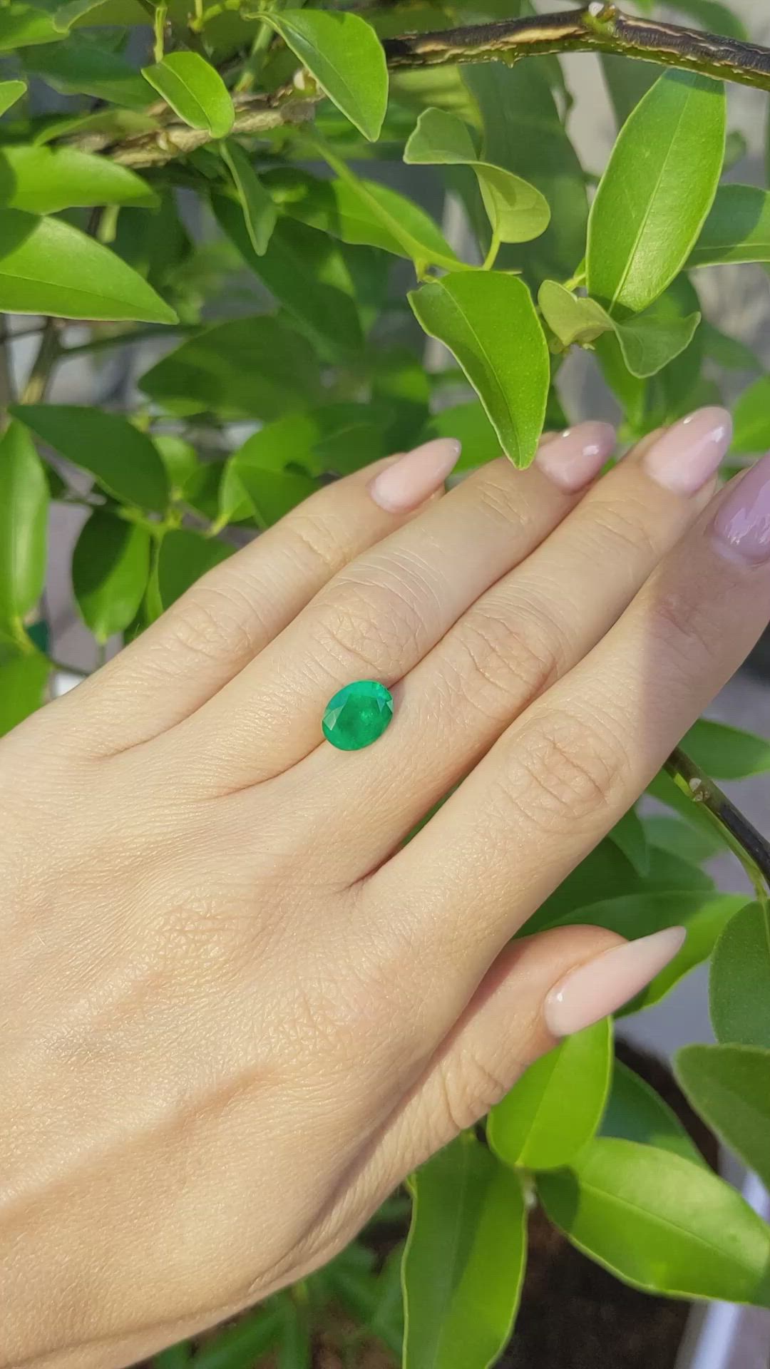 1.78 Ct. Emerald from Colombia Size Video